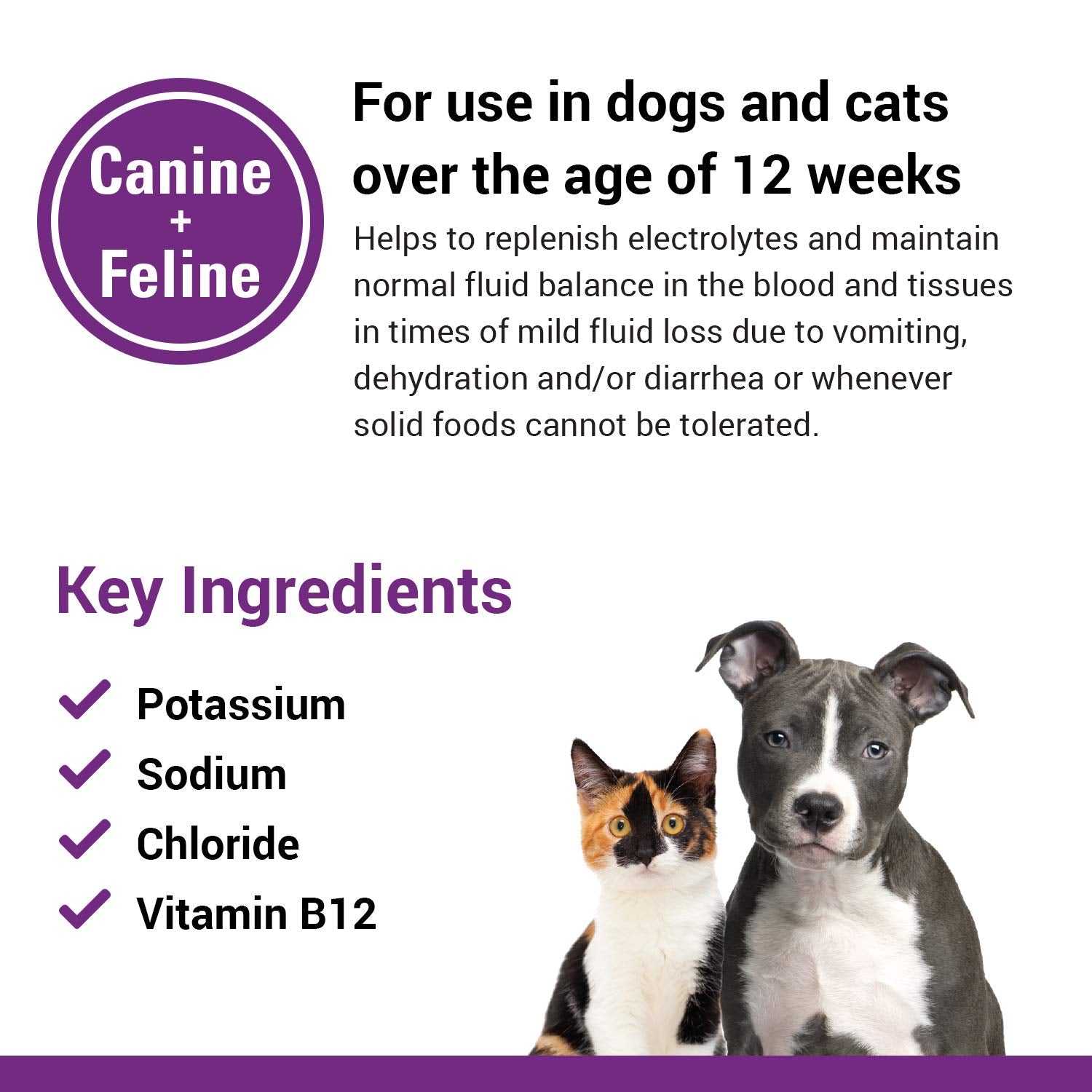 Vet Classics Pet-A-Lyte Oral Electrolyte Solution for Dogs and Cats - Helps Replace Fluids Lost from Pet Dehydration, Diarrhea,
