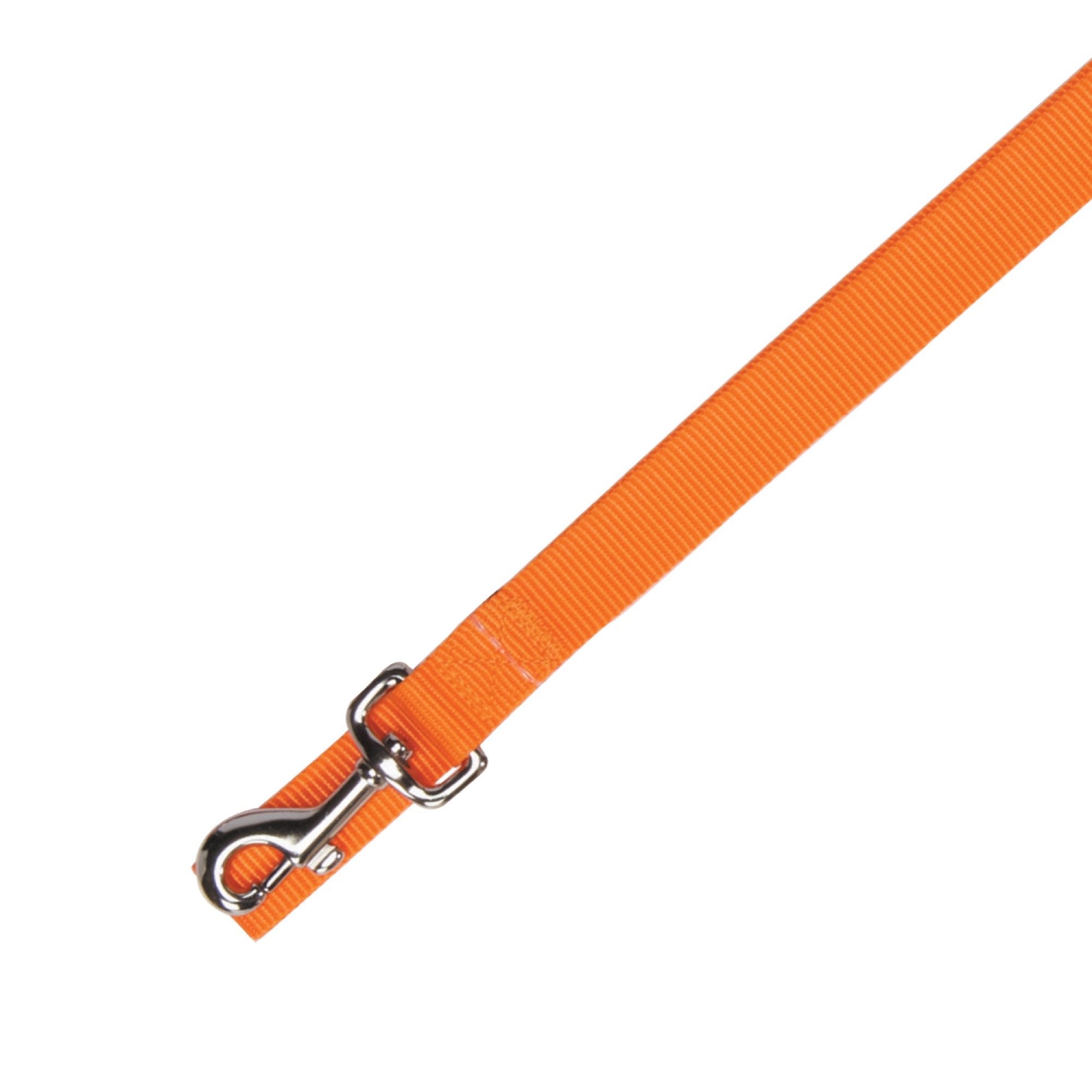 Zack & Zoey Basic Nylon Dog Leash, 6-Feet X 5/8-Inch Lead, Orange