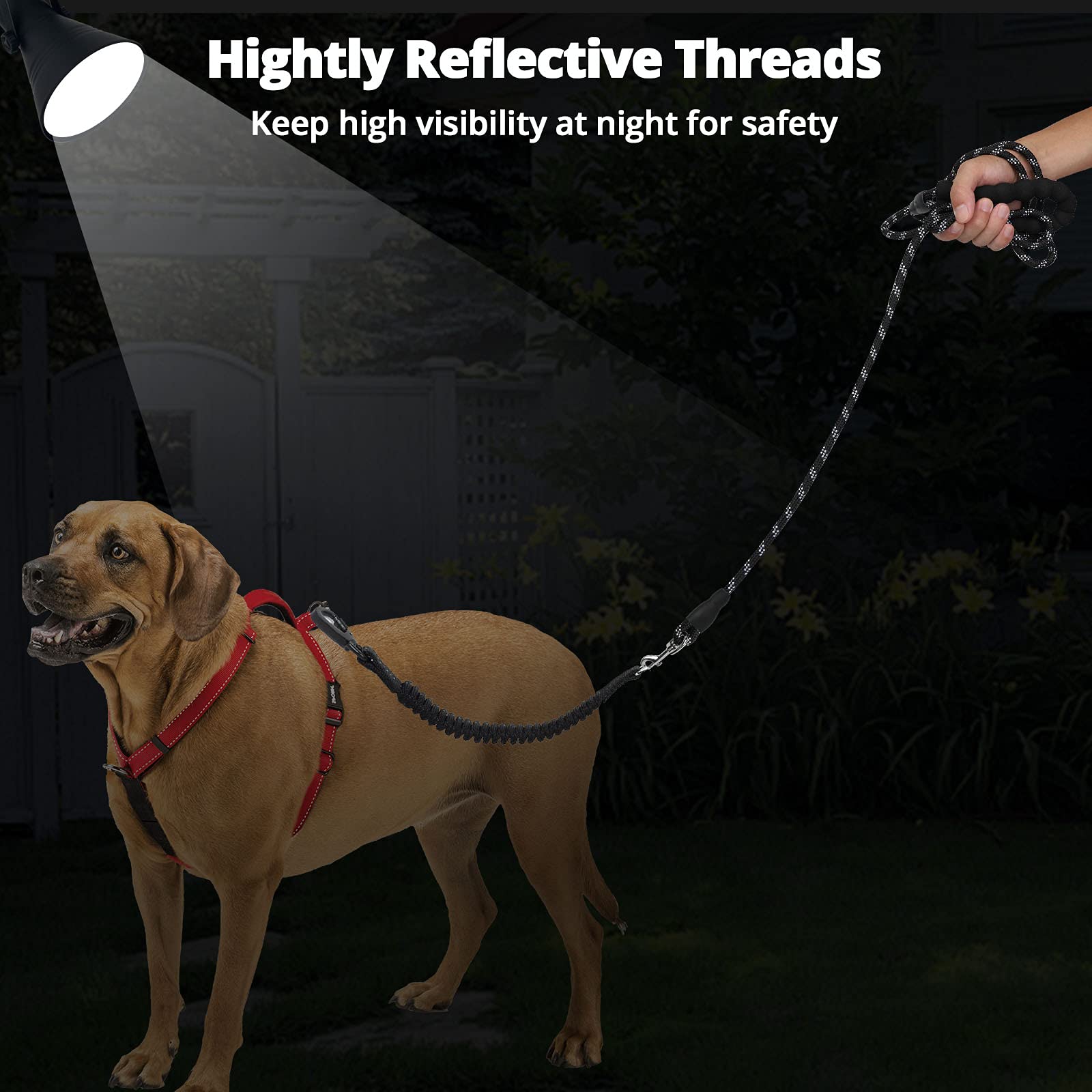 Jenico Long Dog Leash - 100 FT Heavy Duty Nylon with Bungee Hook, Reflective, Padded Handle, Black for All Dog Sizes