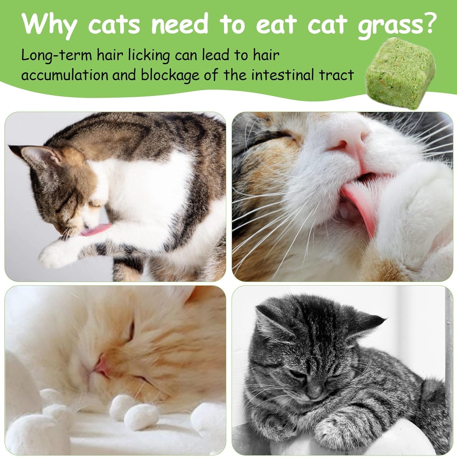 HavenJanny 60g Cat Grass Treats for Cats, Freezed Drying Cat Grass Teething Stick Snacks for Kitty, Edible Cats Chew Toys for Te