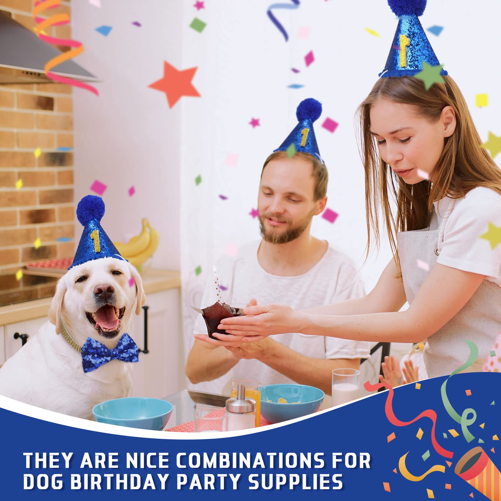 Dog Birthday Party Supplies Birthday Boy Girl Cake Bandana Triangle Scarf Clothes Shirt Cute Dog Hat Dog Bow Tie Collar With 0-8 Numbers For Dog Puppy 1St Birthday Party Outfit(Cute Style)