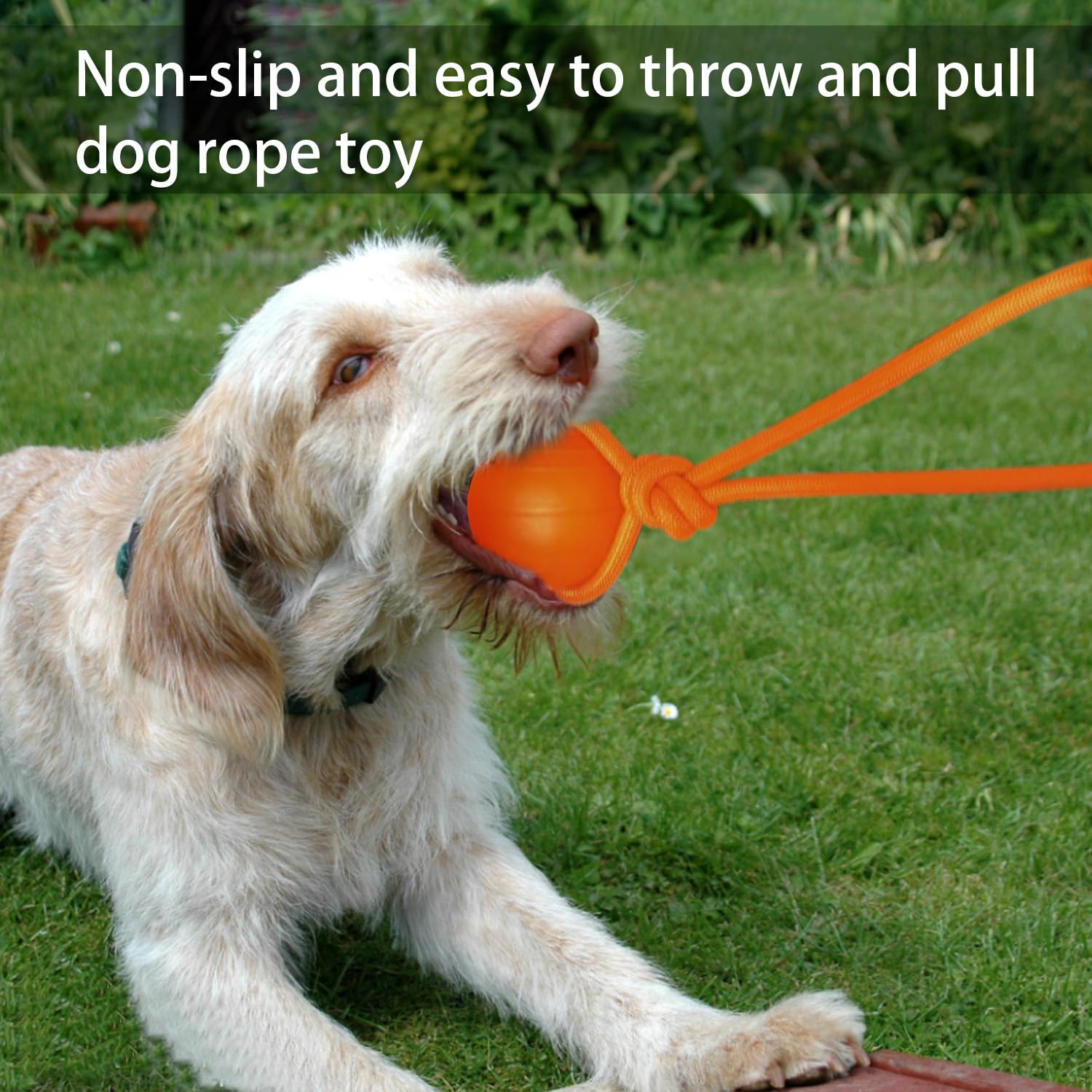 Dlder Dog Ball On A Rope Dog Toy,Floating Foam Dog Ball With Rope,Tug Ball Toy For Small Medium Large Dogs Aggressive Chewers.