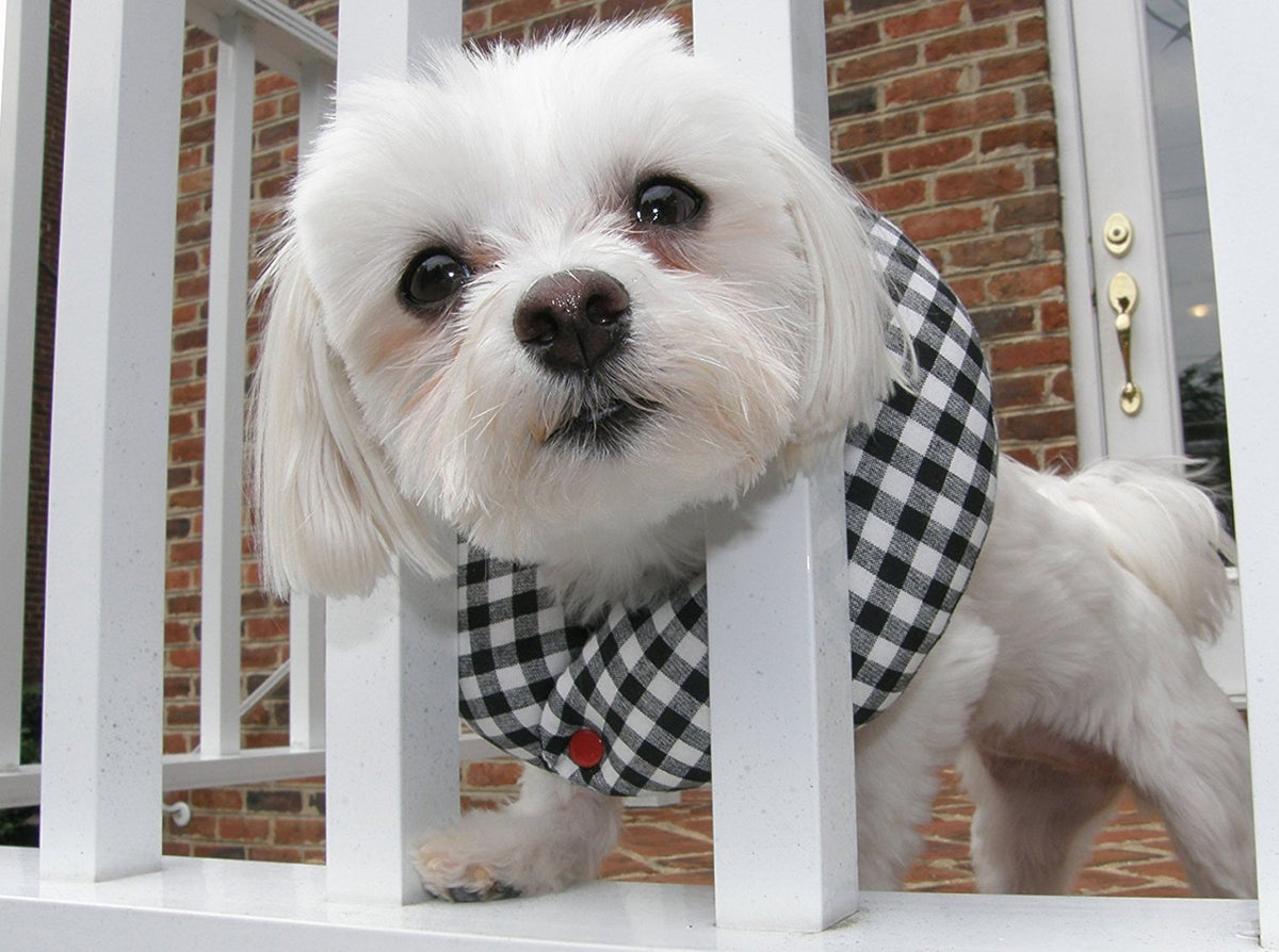 Puppy Bumpers Black And White Check 10 To 13'