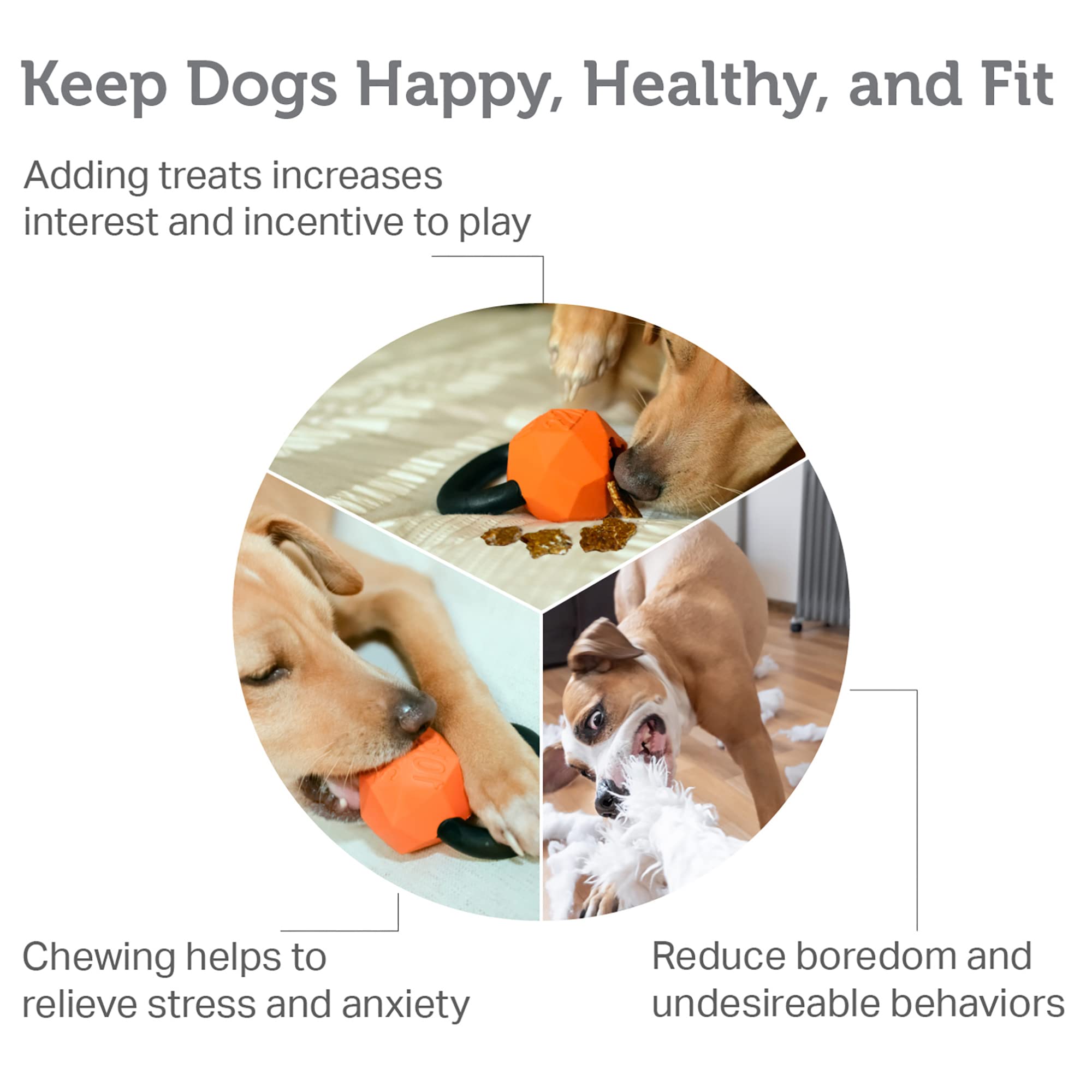 Friends Forever Dog Chew Toy, Interactive Treat Dispensing Toys, Dog Puzzle Fun Indoor Play, Non-toxic Natural Rubber Durable fo