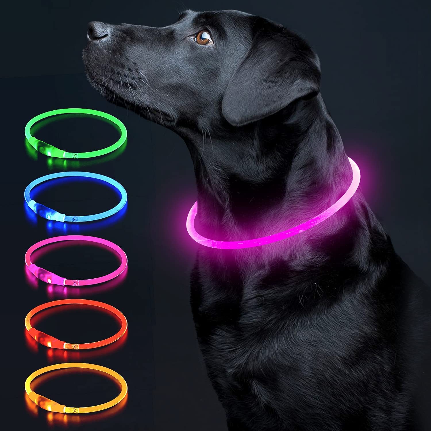 Colaseeme Led Dog Collar Light Up Dog Collars 1 Count Usb Rechargeable Tpu Glow Safety Basic Dog Collars, Please Do Not Use Fast