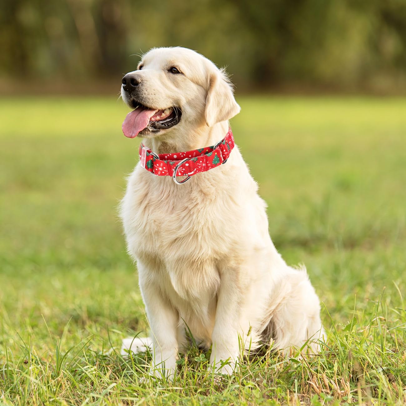 Christmas Martingale Dog Collar, Red Cheistmas Xmas Dog Collar No-Slip Escape Proof Choke No Pull Cinch Soft Nylon Dog Training