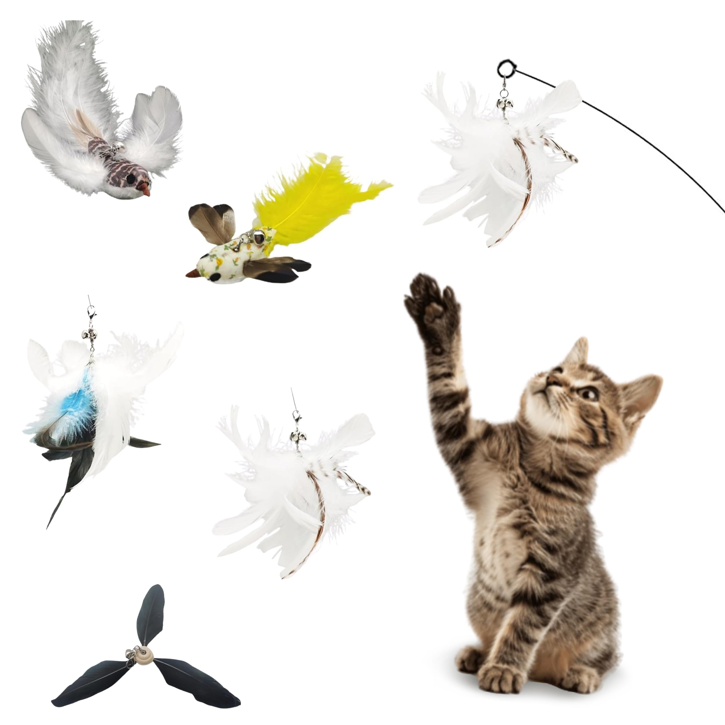 Cutie Paw Pal Variety Play Set, 5 Pack Refills For Wand And Fishing Poles, Spring Wires, Door/Wall Hang Ropes. 2 Bird, 2 Feather