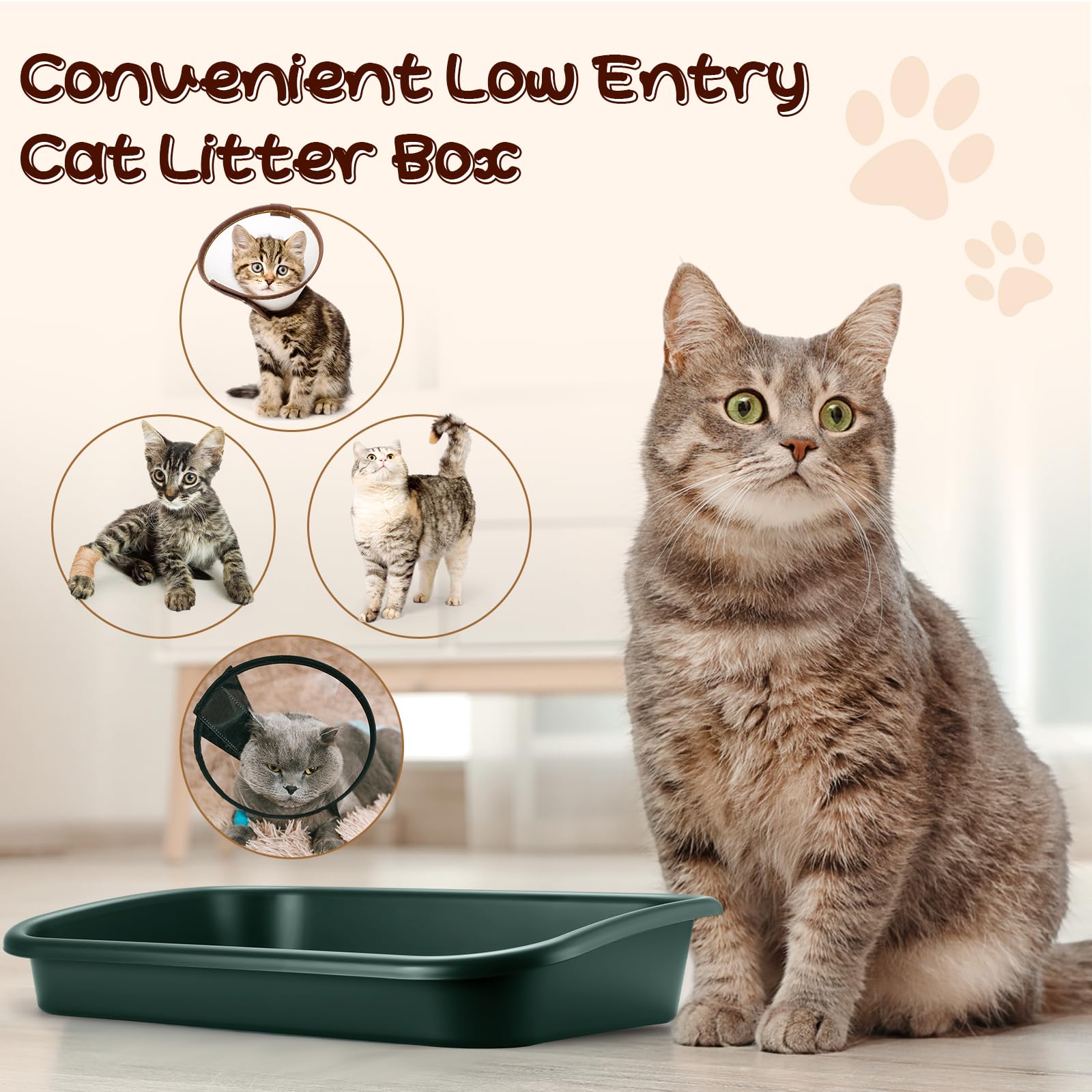 Uiifan 3 Pcs Low Entry Senior Cat Litter Box Large Size Pet Low Entry Open Top Litter Box For Senior Kitten Frail Handicap Disab