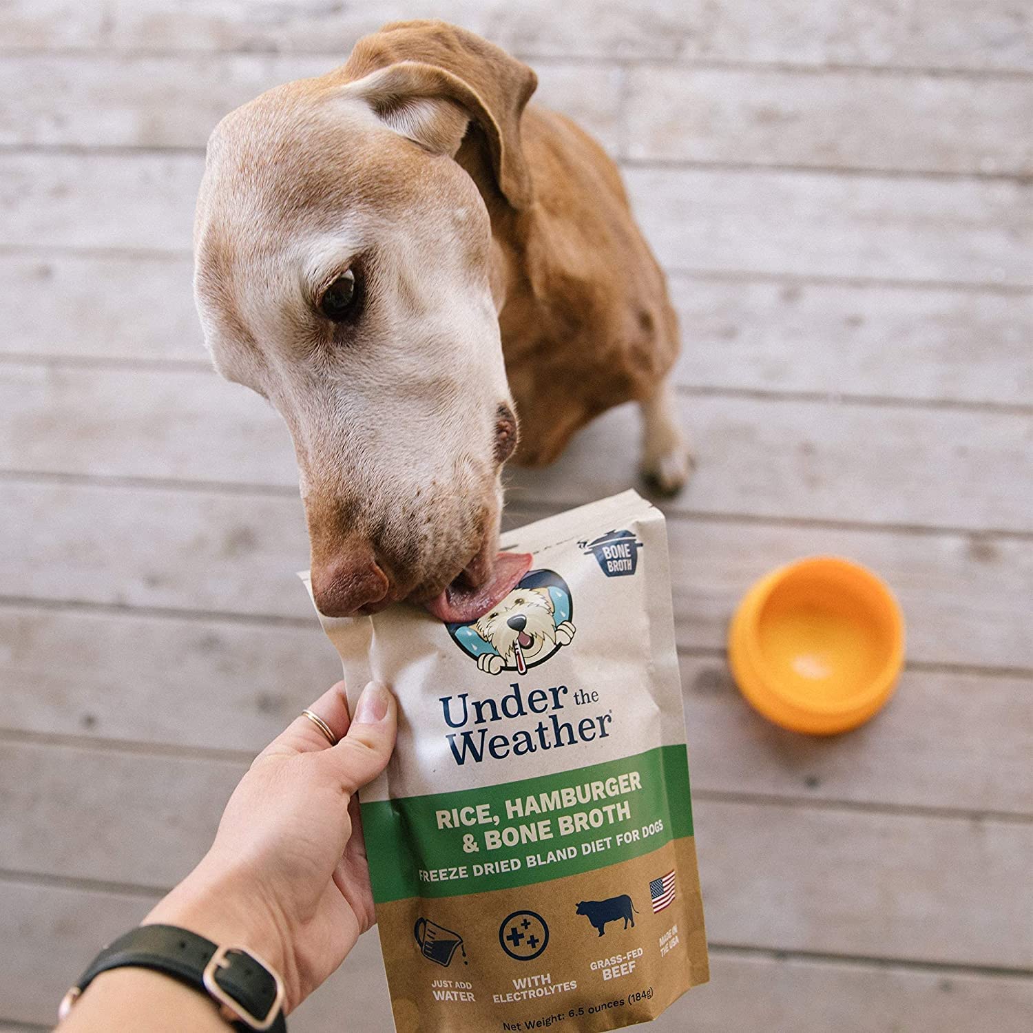 Under the Weather Easy to Digest Bland Dog Food Diet for Sick Dogs | Contains Electrolytes | Gluten Free, Freeze Dried 100% Huma