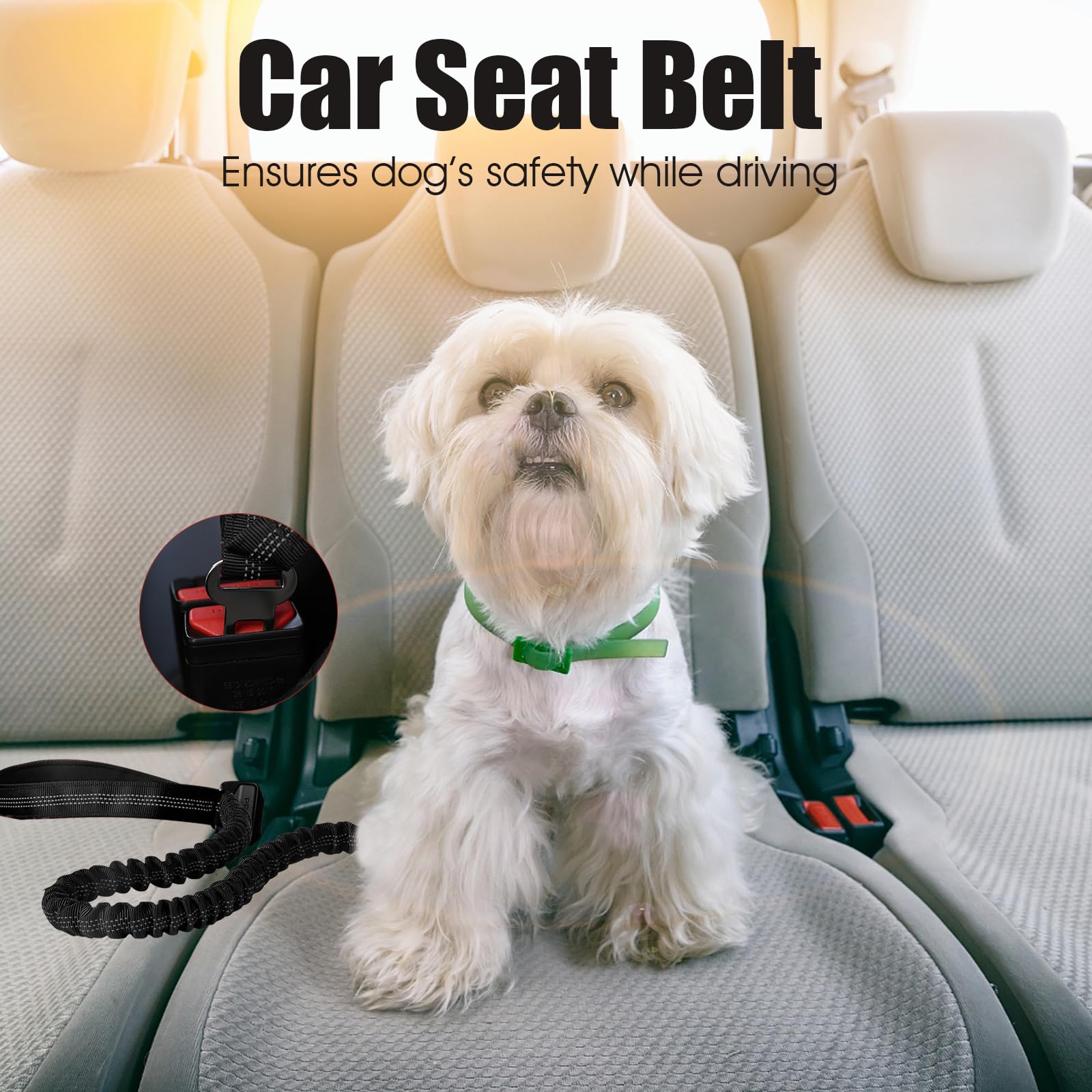 BUMBIN 6Ft Bungee Leash With 2 Handles for Large, Medium, Small Dogs - Heavy Duty, No Pull Shock Absorbing With Car Seat Belt fo