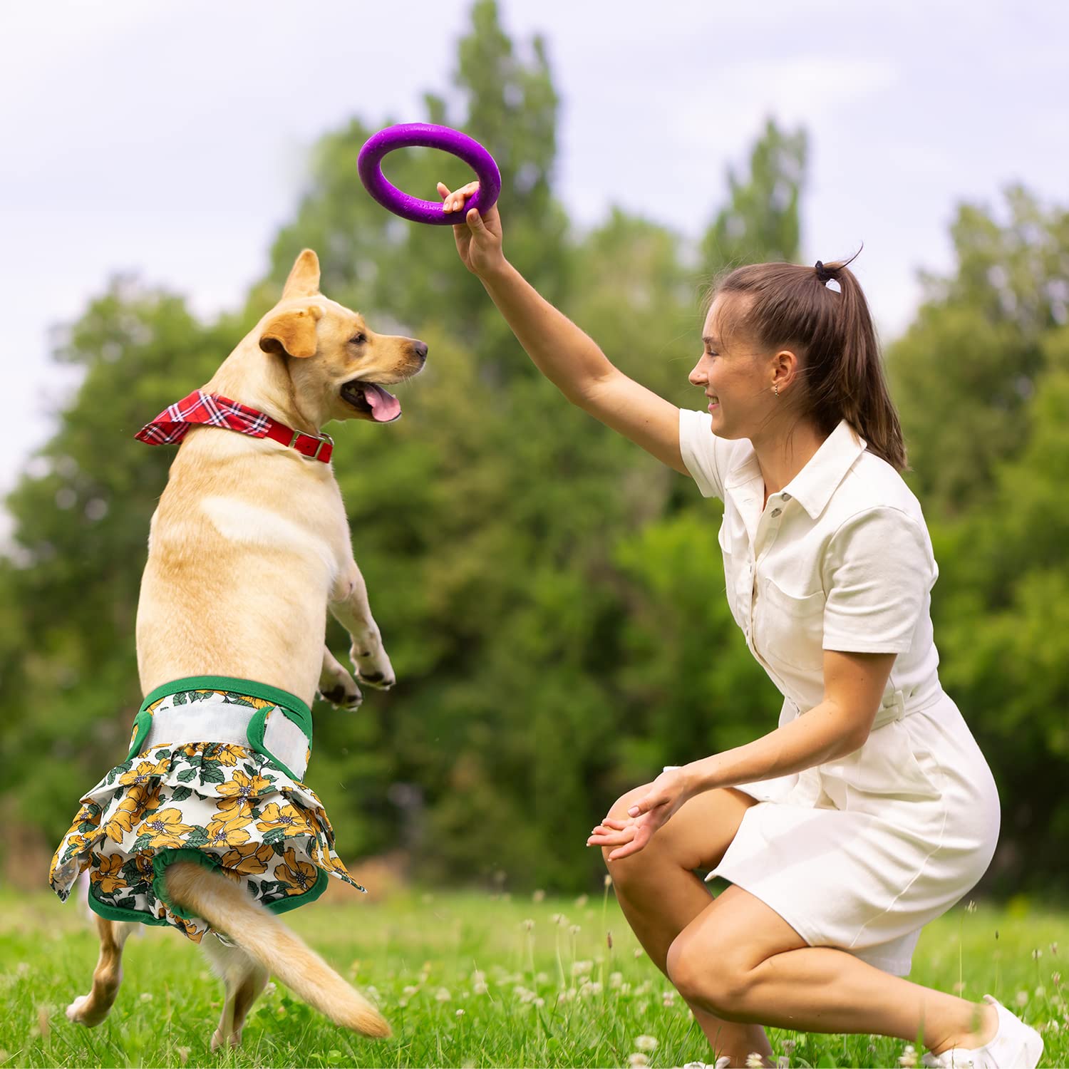 Pet Soft Washable Female Diapers (3 Pack) - Female Dog Diapers, Dress Style Comfort Reusable Doggy Diapers For Girl Dog In Period Heat (Floral, M)