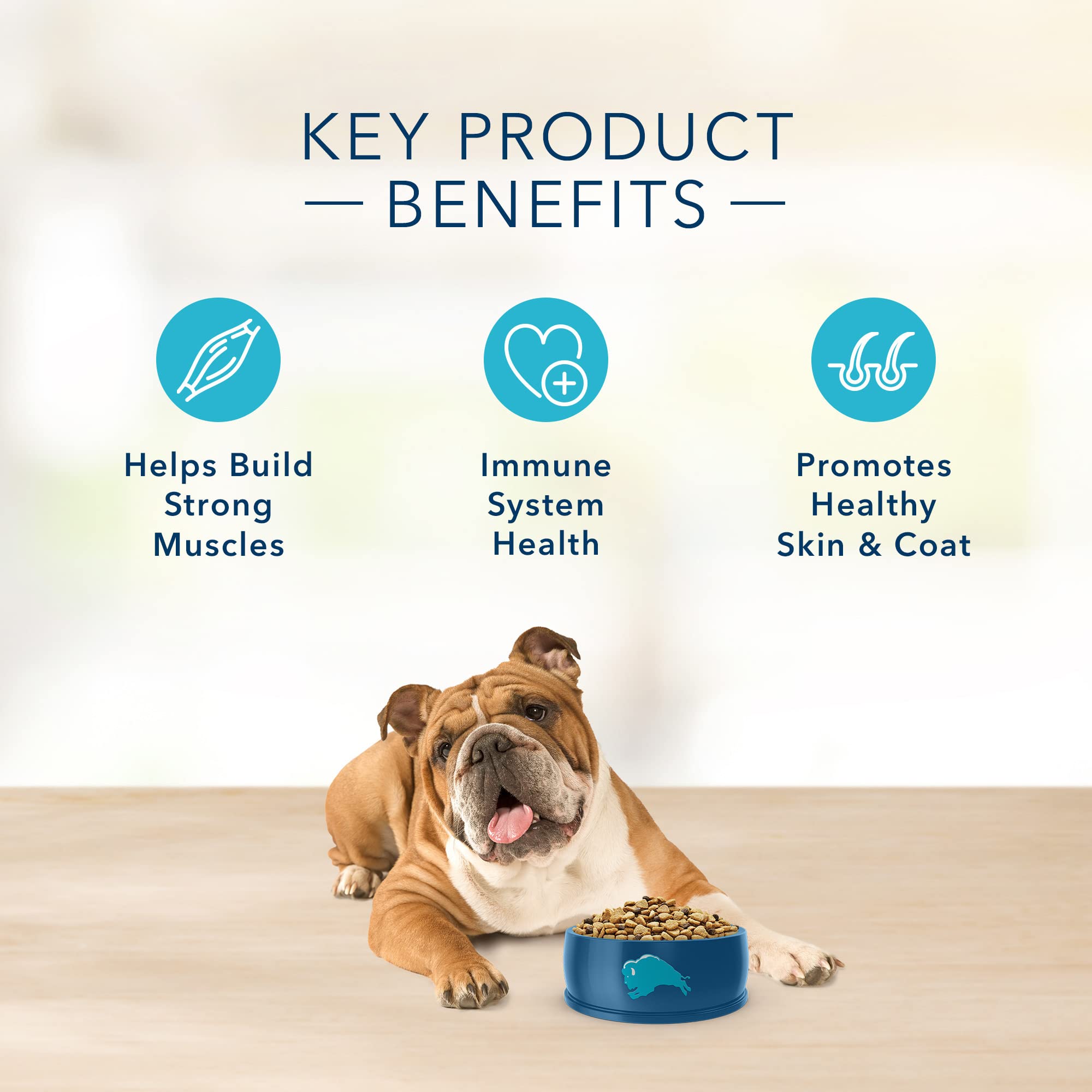 Blue Buffalo Basics Adult Dry Dog Food for Skin & Stomach Care, Limited Ingredient Diet, Made in the USA with Natural Ingredient