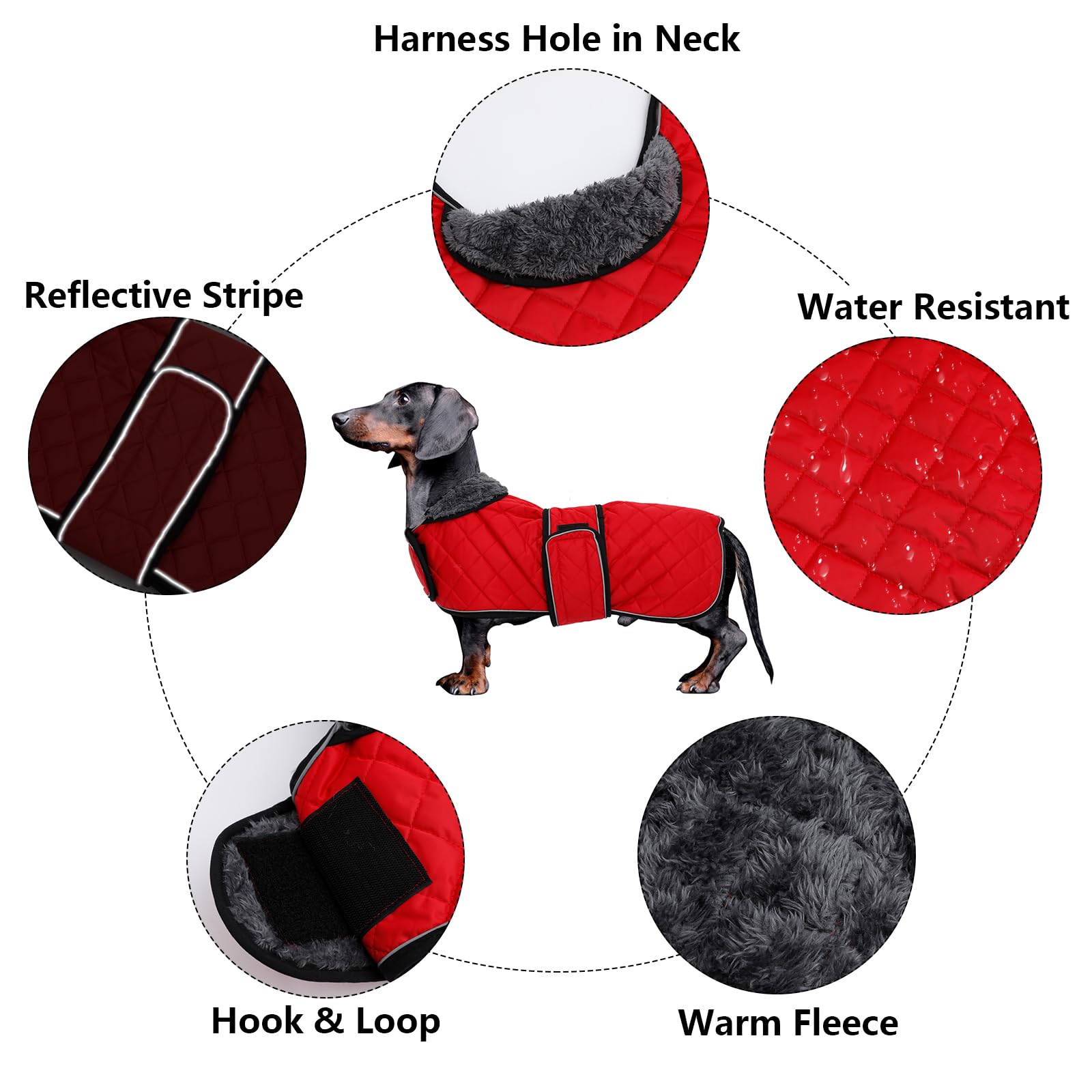 Morezi Dachshund Coats, Dachshund Coat, Coat For Dachshund, Dog Winter Coat With Padded Fleece Lining, Outdoor Dog Apparel With Adjustable Bands - Red - Xs