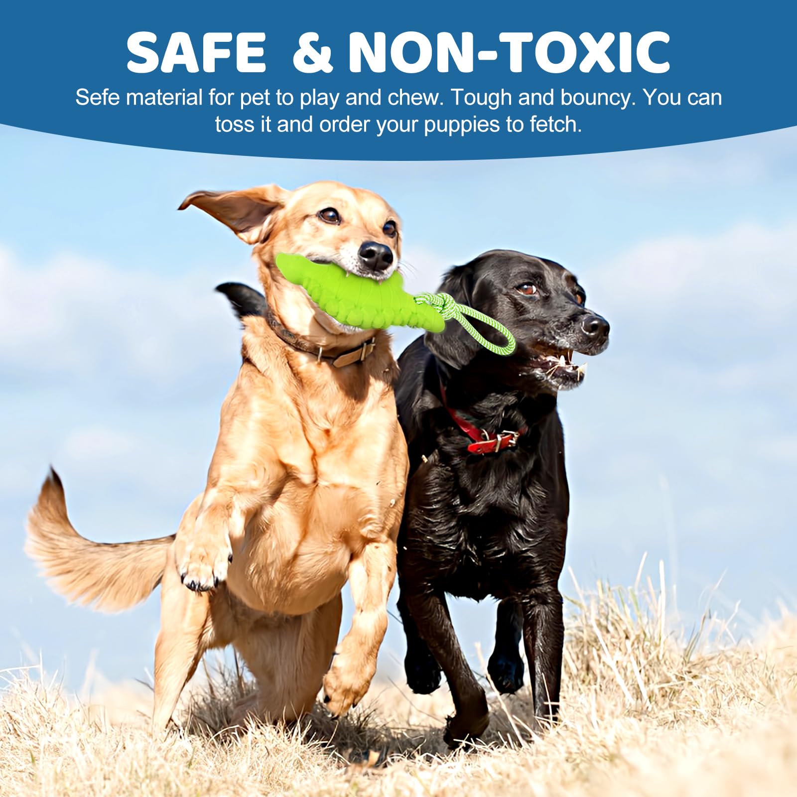 Coubontail Dog Floating Toy, Dog Chew Toy For Aggressive Chewers, Pool Toy With Rope For Interactive Fetch & Play, Dog Beach Toy Set (Dinosaur)