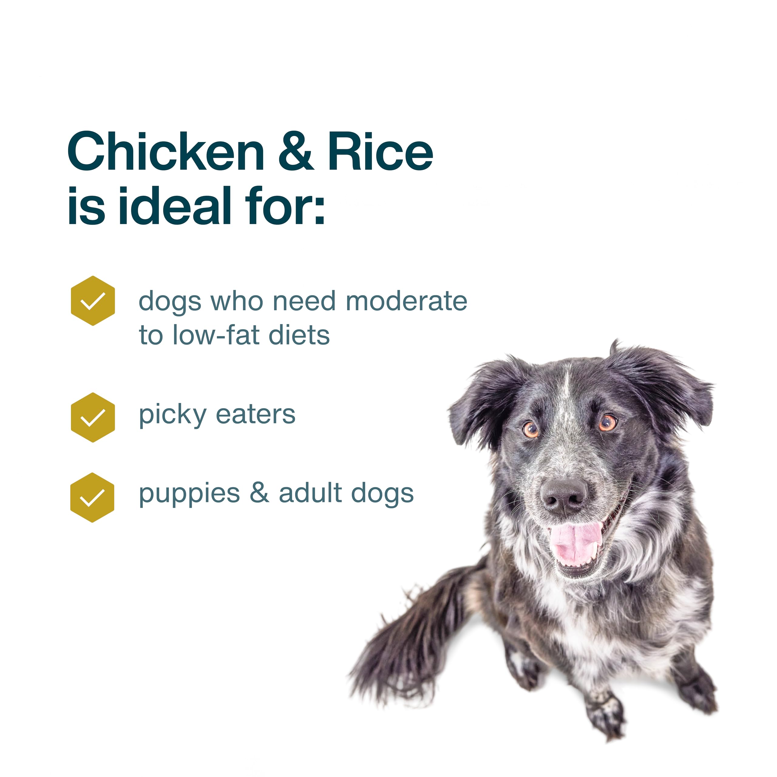 JustFoodForDogs Frozen Fresh Dog Food, Complete Meal or Dog Food Topper, Chicken & Rice Human Grade Recipe, 18 oz (Pack of 14)