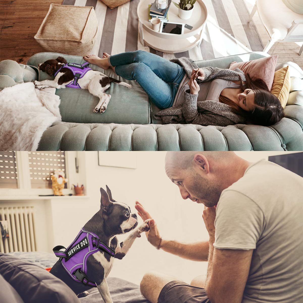 Voopet Service Dog Harness, Easy On And Off Over Head Dog Vest Harness Fasten Quickly, Breathable And 3M Reflective Adjustable Pet Halters With Easy Control Handle For Small Medium Large Dogs