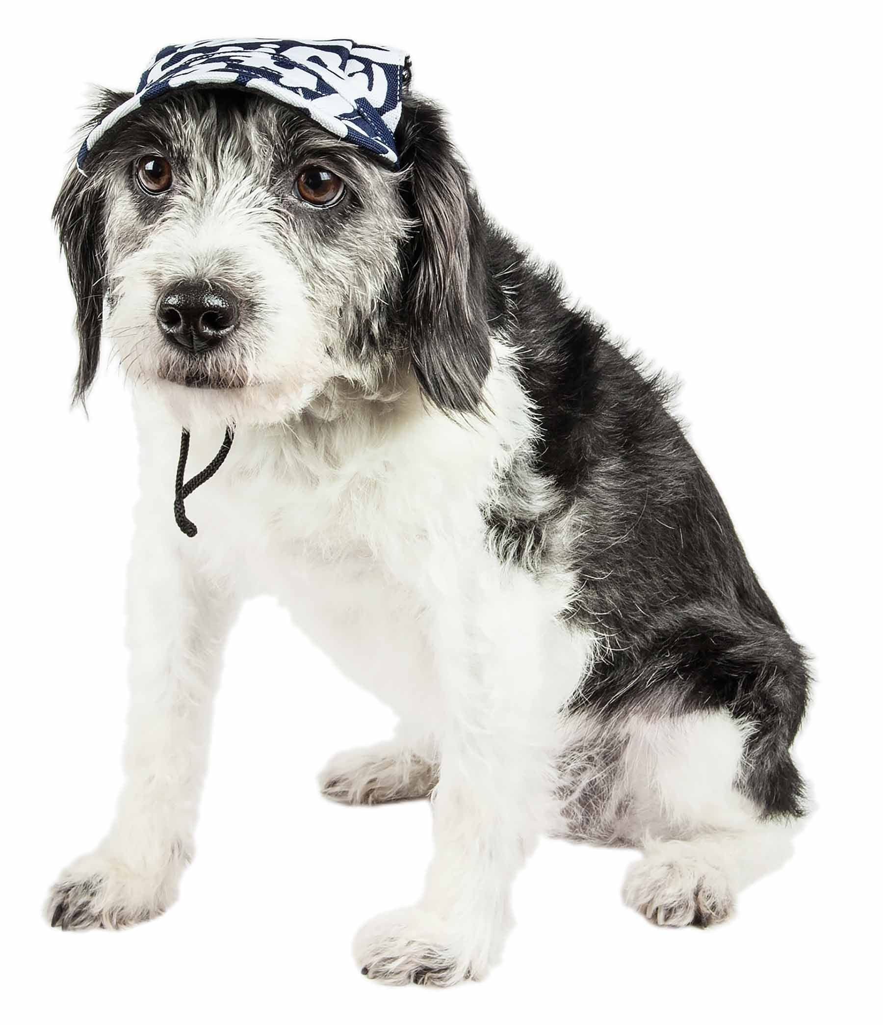 Pet Life ® Graffiti Patterned Dog Hat With Uv Coverage Protection - Provides More Shade Than A Dog Banadana - Features Ear Holes And Adjustable Jaw-Strings For Quick Slip-On Access