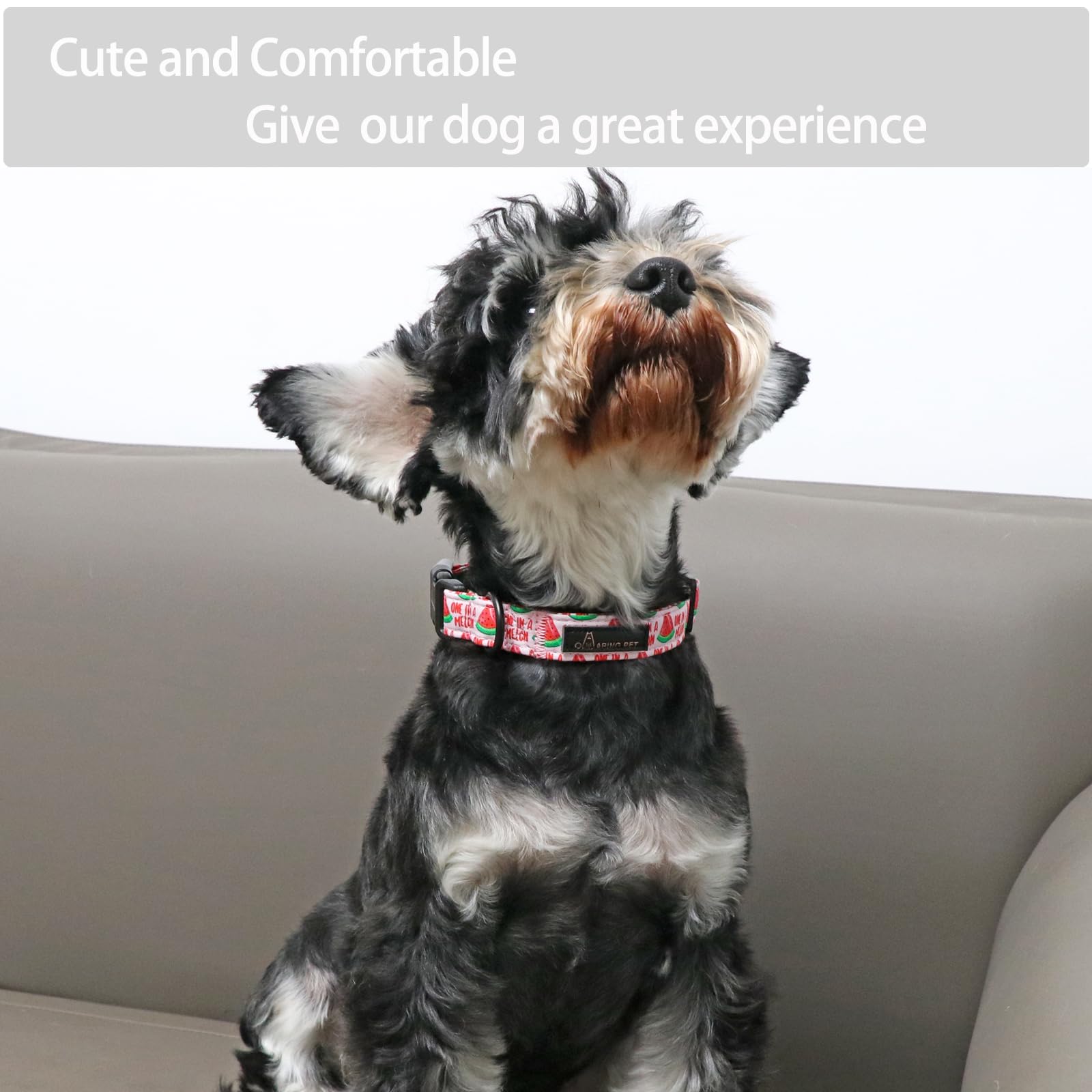 Aring Pet Summer Dog Collar-Cute Watermelon Dog Collar For Medium Dogs, Adjustable Soft Cotton Girl Dog Collars For Small Medium Large Dogs, Medium