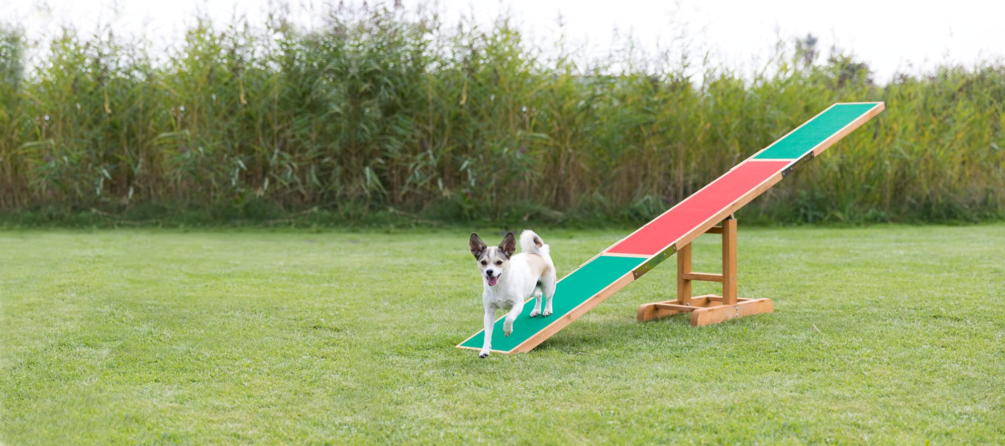 Trixie Dog Agility Seesaw, Canine Agility Training, Competition Seesaw, Teeter Set 300 × 54 × 34 Cm