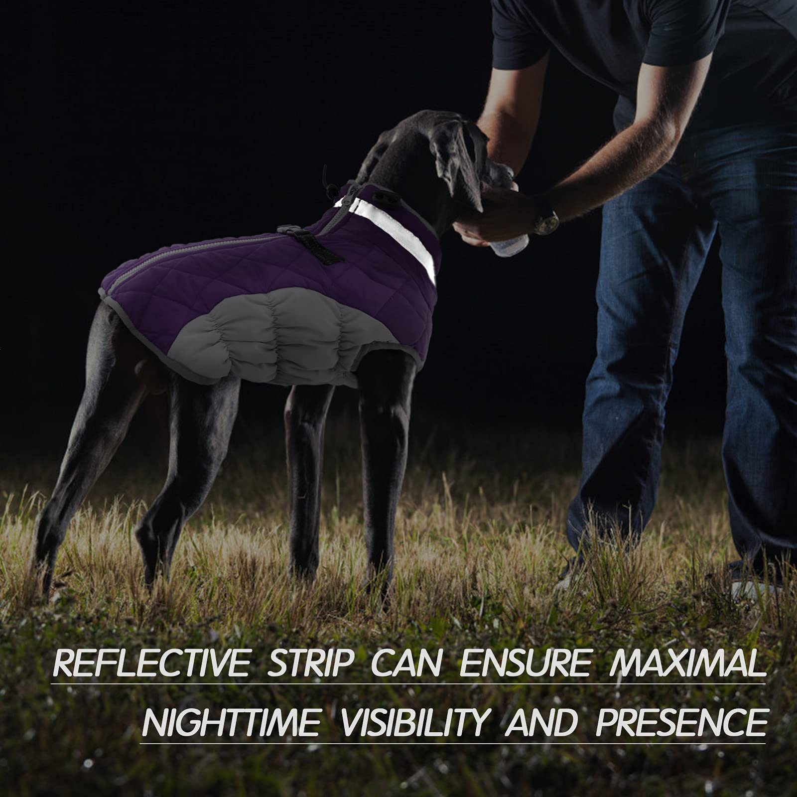 Fuamey Dog Coat - Warm Winter Jacket With Padded Fleece, Reflective, Waterproof & Windproof, Built-In Harness, Purple, Small