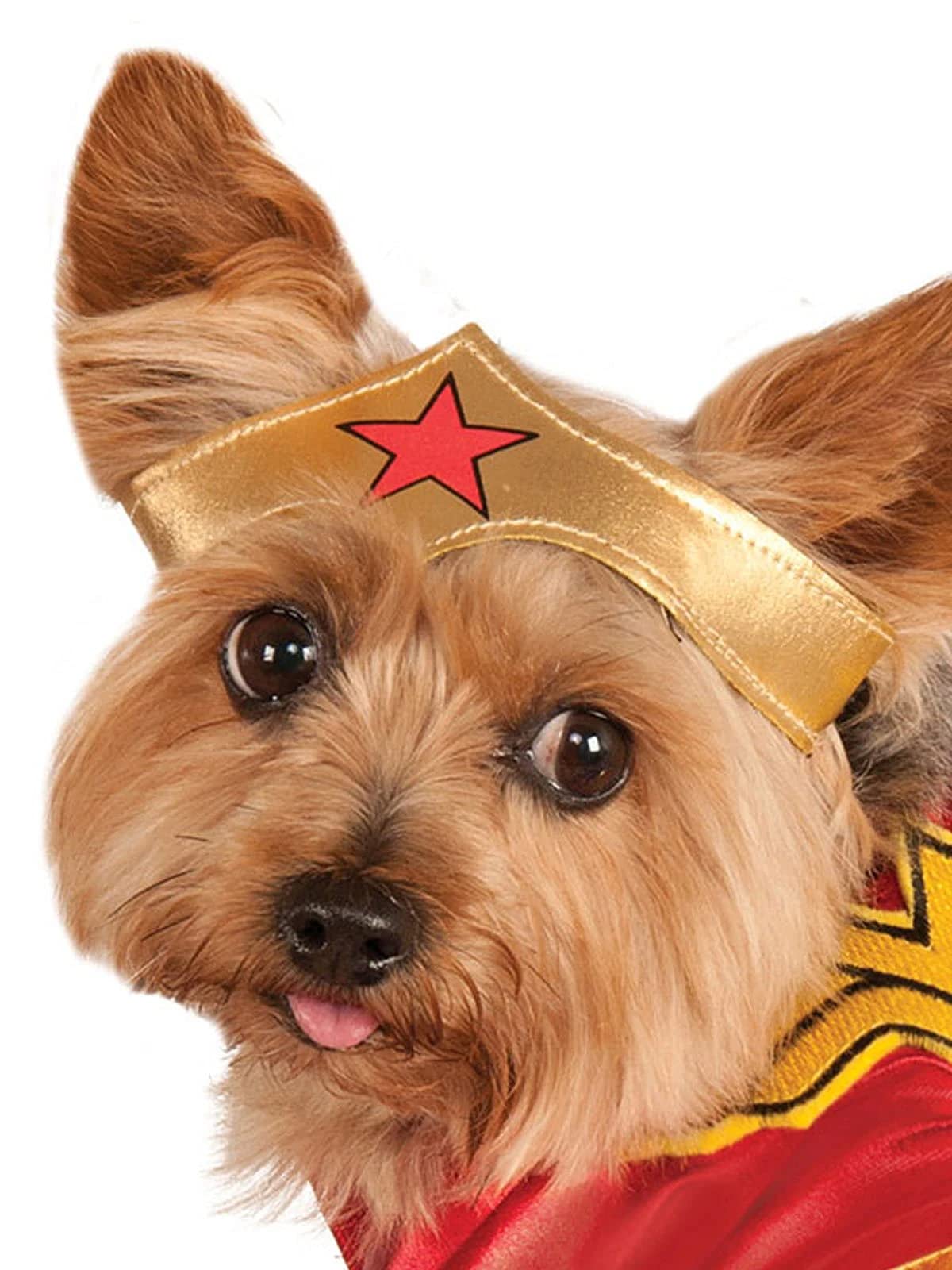 Rubies DC Heroes and Villains Pet Costume, Small, Wonder Woman, Multi, Plastic, Model 887842 S