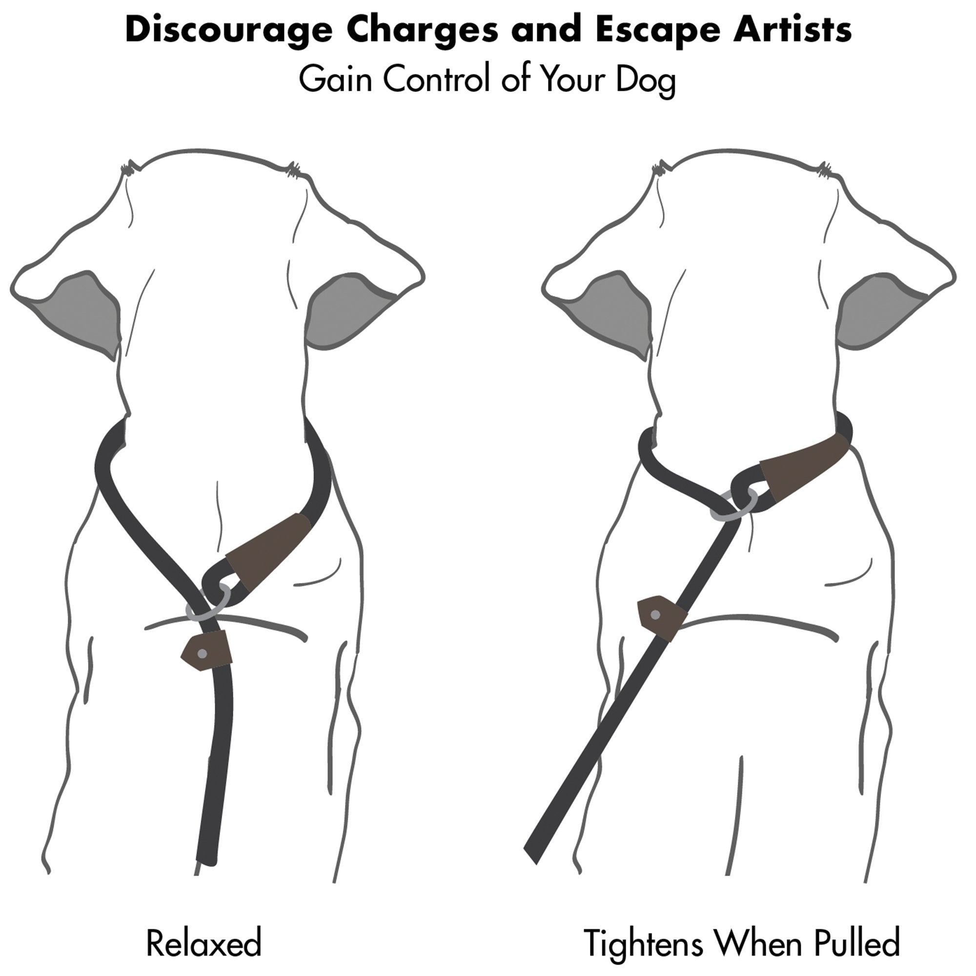 Friends Forever Dog Rope Leash - Durable 6ft Reflective Training Slip Lead, Heavy Duty Nylon, Silver