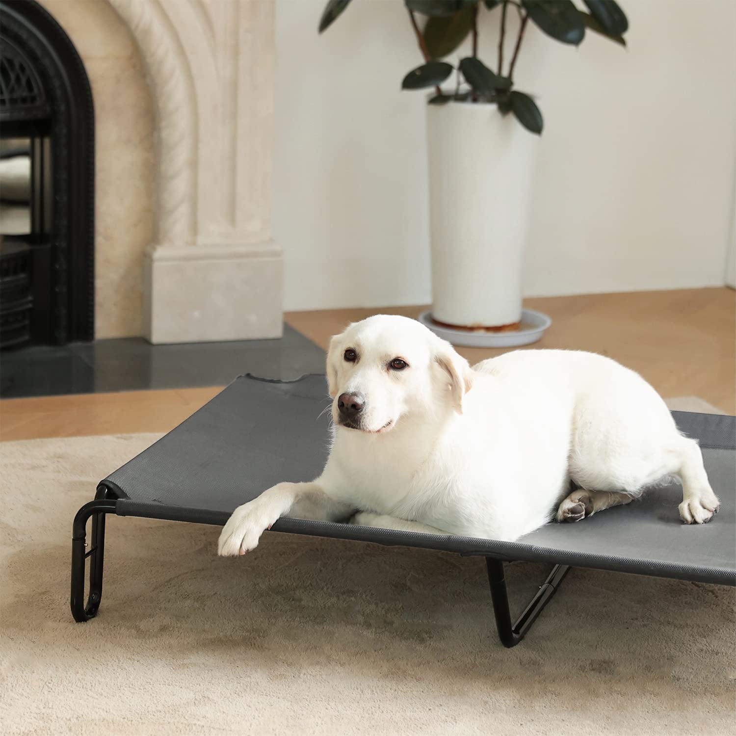 Pettycare Elevated Outdoor Dog Bed - Dog Cots Beds For Large Dogs Xl, Waterproof Raised Dog Bed Easy To Assemble, Cooling Elevat
