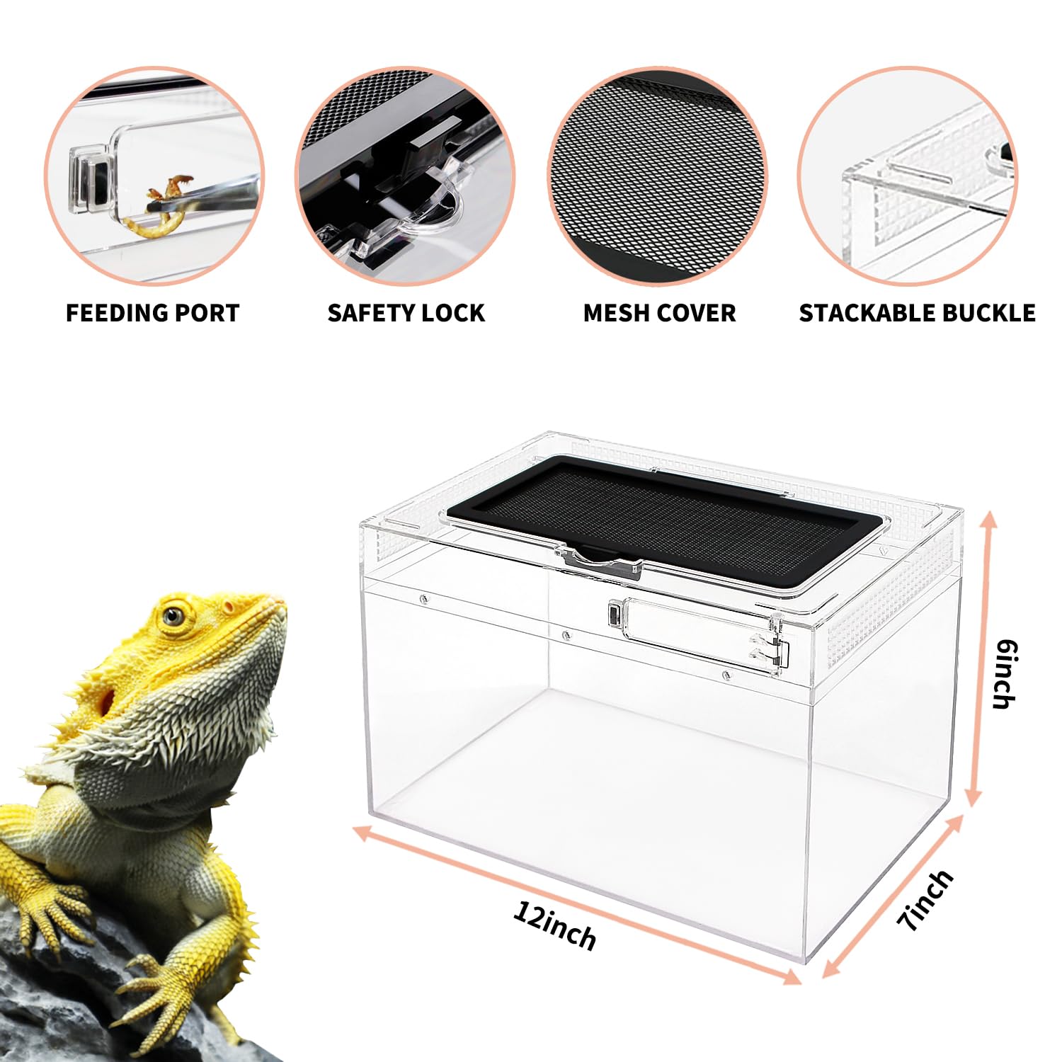 Mini Reptile Terrarium Set,12'' X 7''X 6'' Low Reptile Tank With Full View Visually Appealing,For Insect,Fish,Tarantula,Hermit C