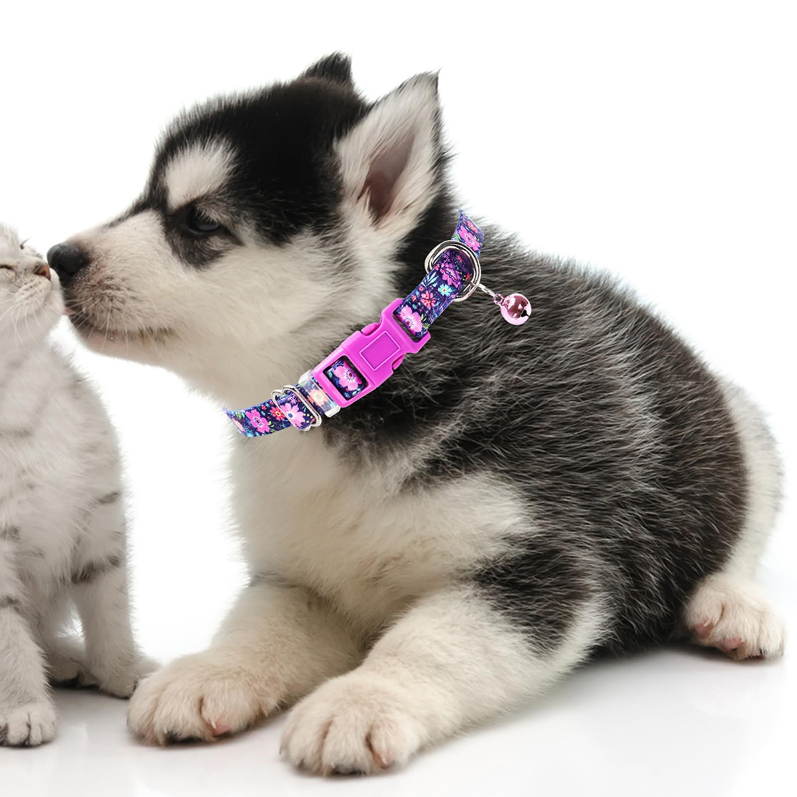 Flower Xxs Xs Dog Collar With Bell, Soft Adjustable Puppy Collar Tiny Cat Collars With Bells For Xs Small Girl And Boy Dogs Litt