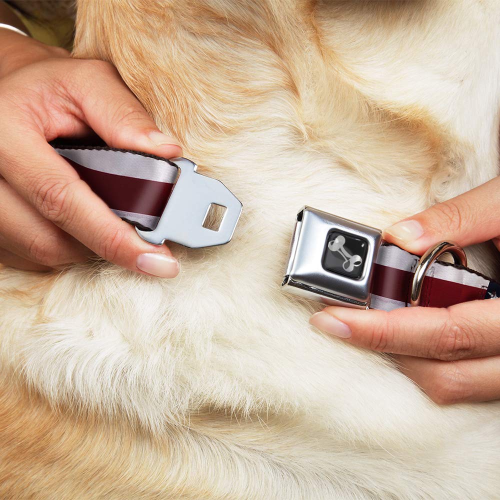 Buckle-Down Seatbelt Buckle Dog Collar - American Flag Vivid Close-Up - 1.5' Wide - Fits 18-32' Neck - Large