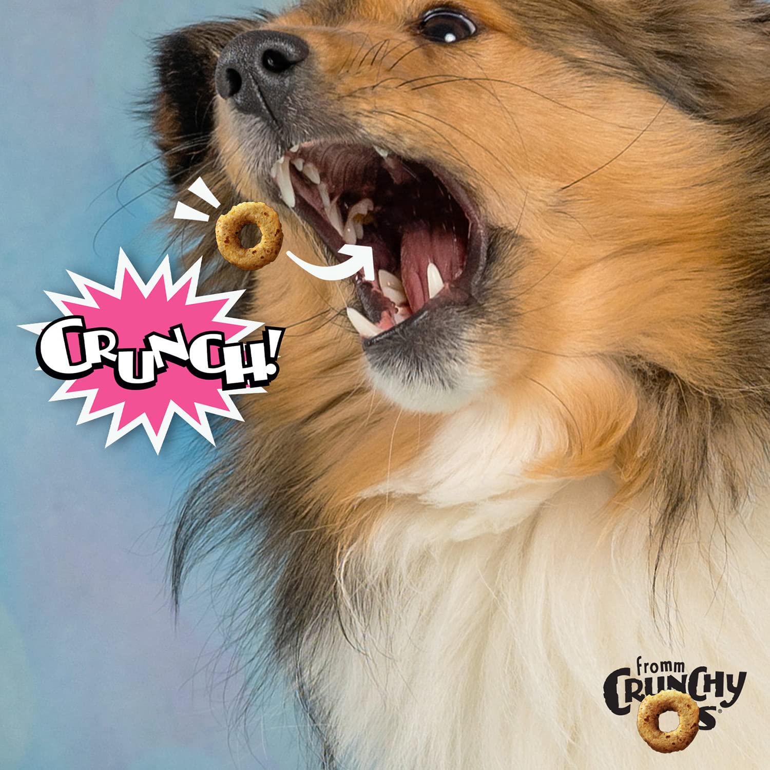 Fromm Crunchy Os Smoked Salmon Dog Treats - 6 oz Bags (Pack of 3) - Premium Salmon Recipe