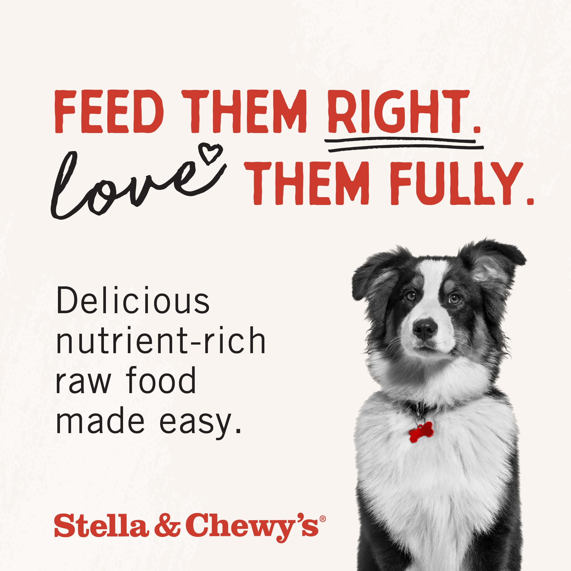 Stella & Chewys Freeze Dried Raw Duck Duck Goose Meal Mixer - Dog Food Topper for Small & Large Breeds - Grain Free, Protein Ri