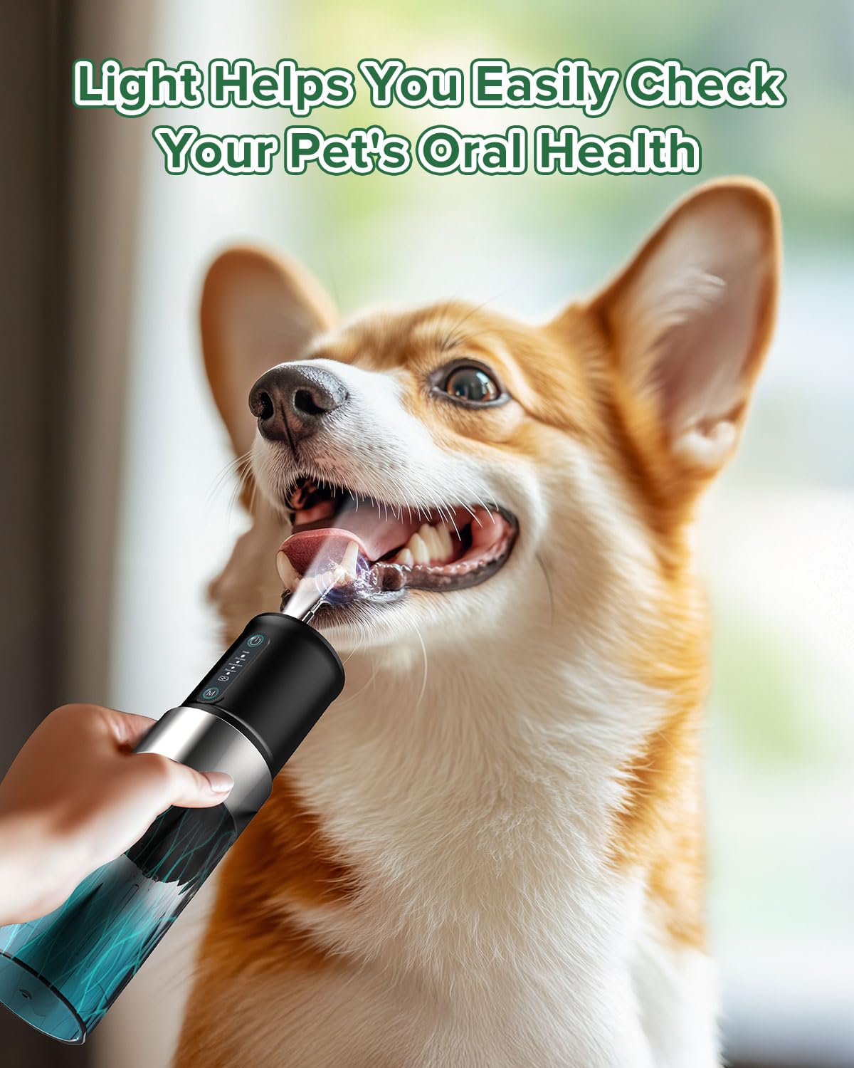 YABIFE Non-Vibrating Ultrasonic Tooth Cleaner for Dogs with Water Cooling System. Dog Plaque and Starter Remover, with Dental Ca