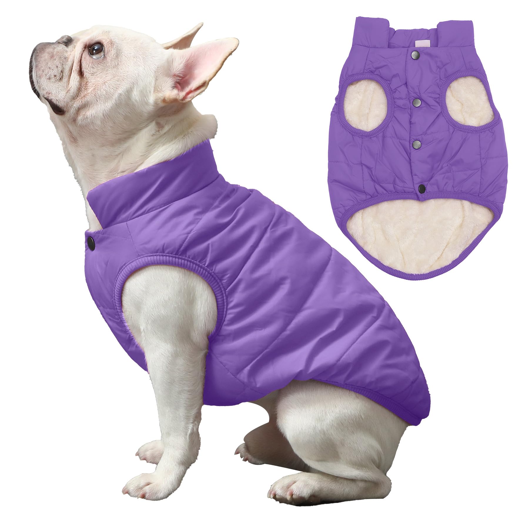 Joydaog 2 Layers Fleece Lined Warm Dog Jacket For Winter Cold Weather,Soft Windproof Medium Dog Coat,Purple Xl