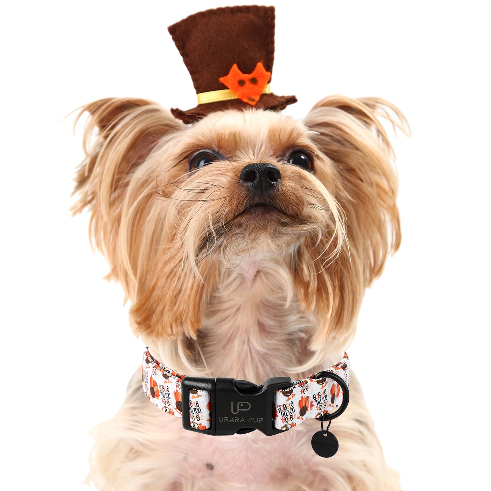 Up Urara Pup Thanksgiving Dog Collar - Turkey Cotton For Dog Or Cat, Autumn Puppy With Lightweight Plastic Buckle - Great Gift F