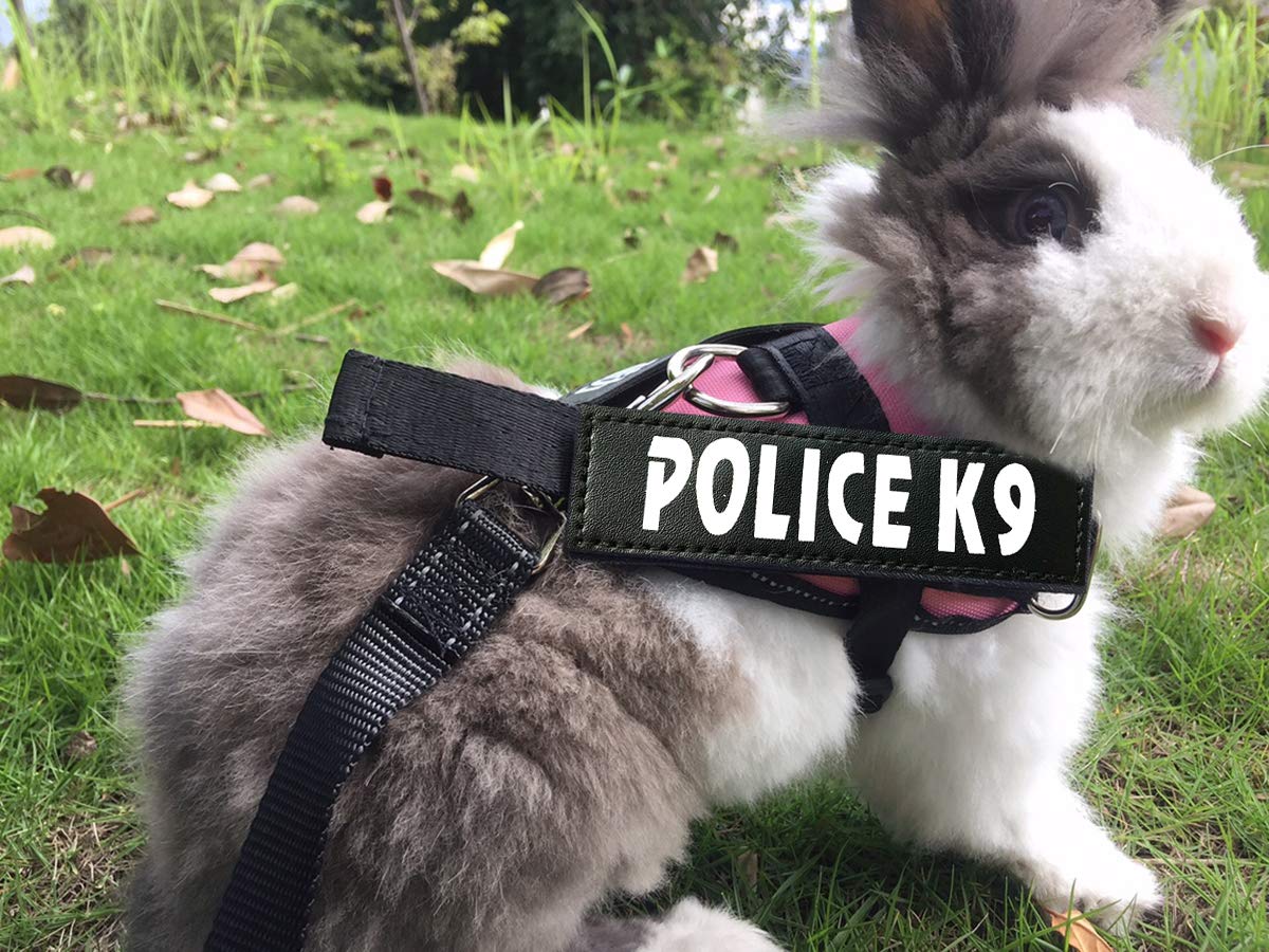 Vehomy Rabbit Harness With Leash For Bunny Rabbits Cats Small Animals (Pink)