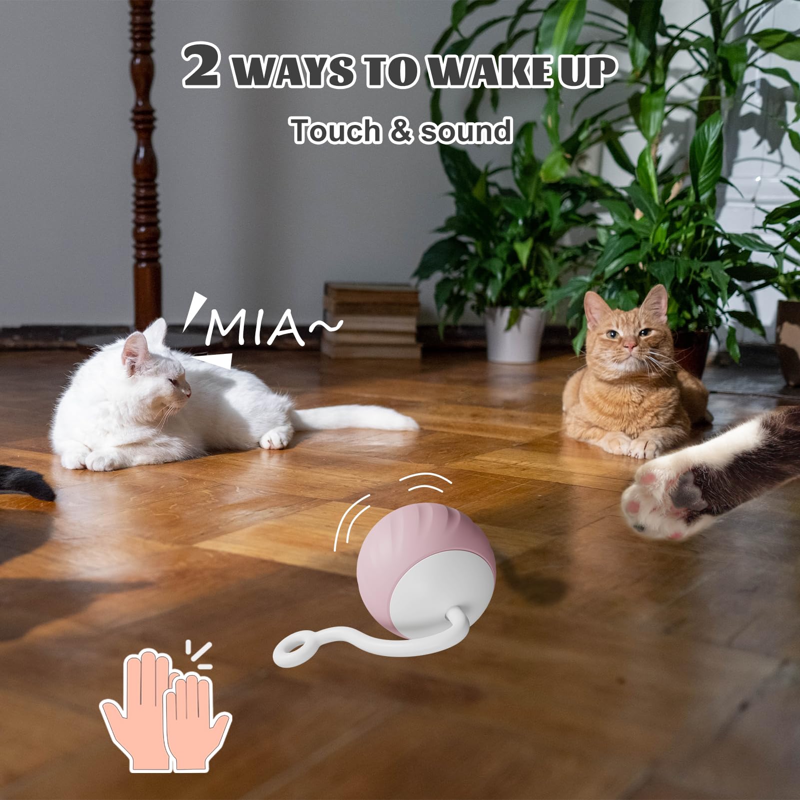 Wakhjakt Cat Toy, Interactive Cat Toys For Indoor Cats, Diy 5 In 1 Automatic Moving Cat Ball Toys/Puppies Toys With Led Rainbow