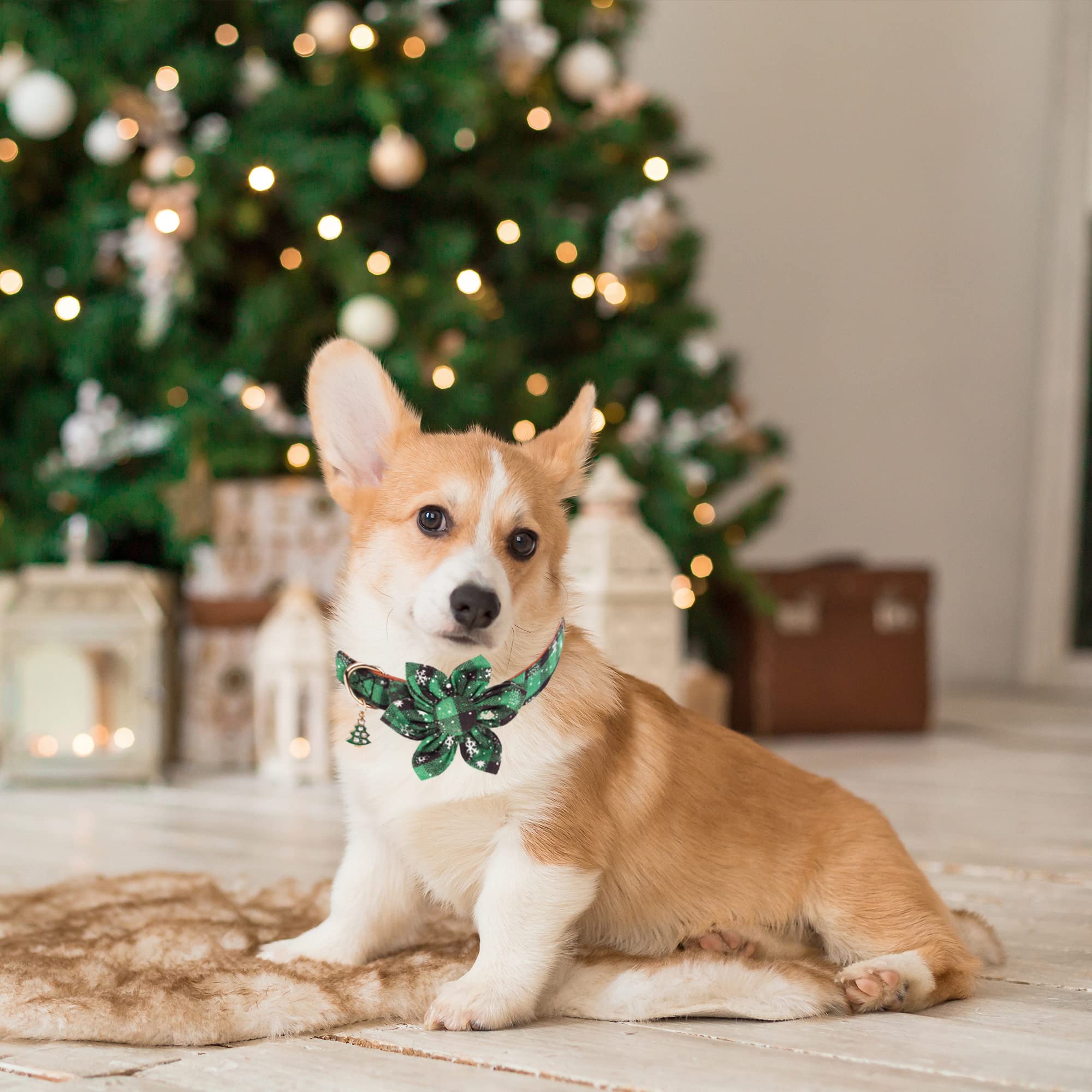 Adoggygo Christmas Dog Collar With Flower, Plaid Dog Christmas Collar With Removable Floral Adjustable Christmas Collars For Medium Dog (Medium)