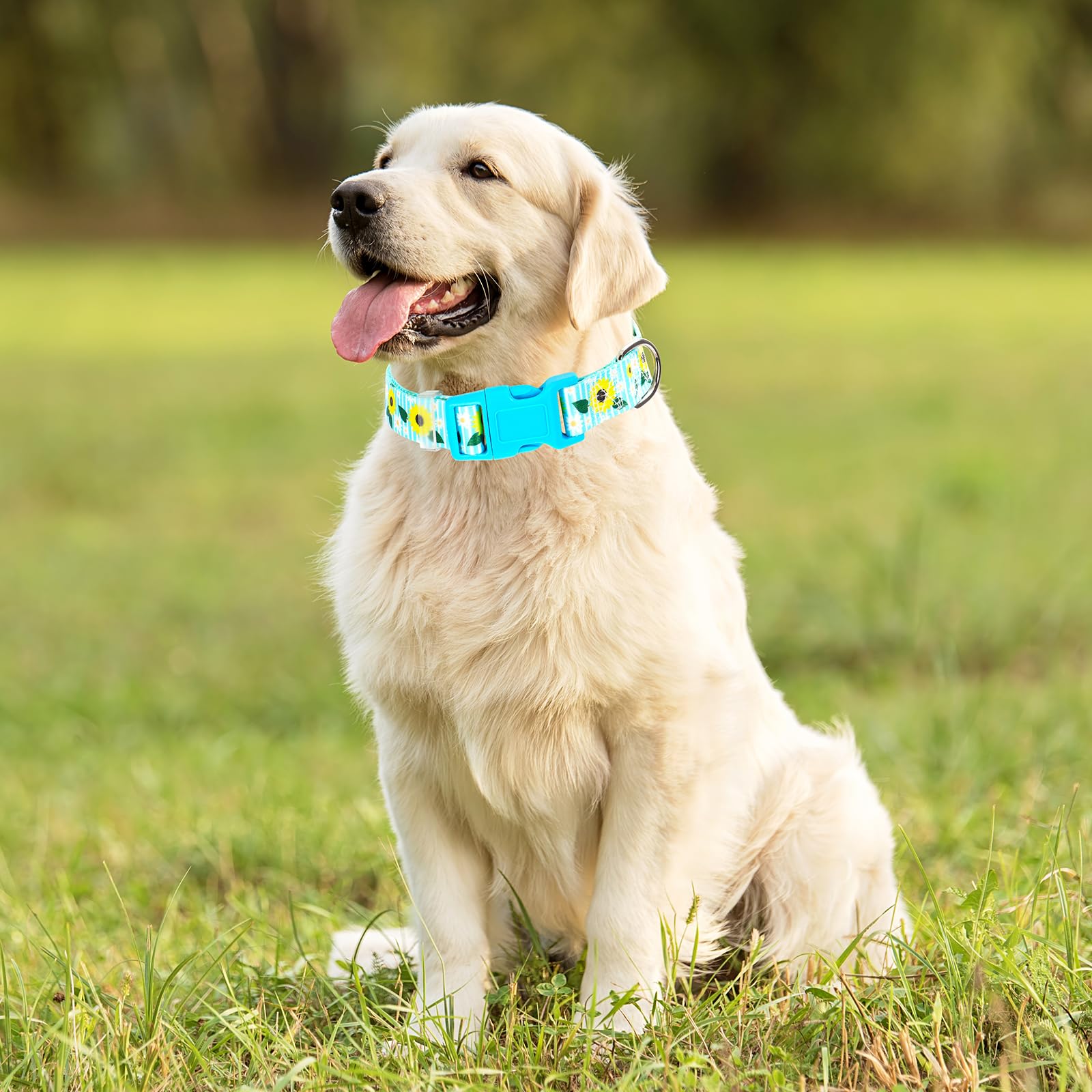 Onefojojo Sunflower Floral Dog Collar - Soft Nylon Adjustable Collar For Medium Dogs, Quick-Release Buckle, Durable Pet Collar F