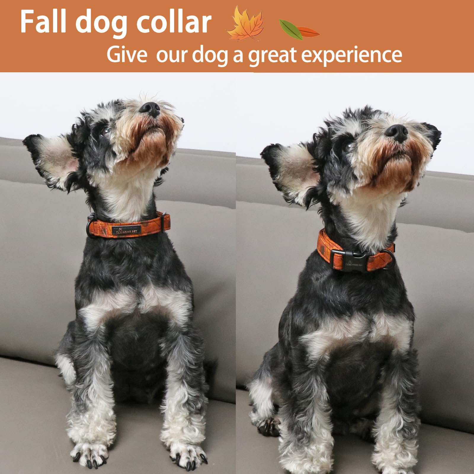 Aring Pet Fall Dog Collar-Cute Orange Dog Collar For Small Dogs, Cotton Lightweight Dog Collars With Quick Release Buckle For Sm