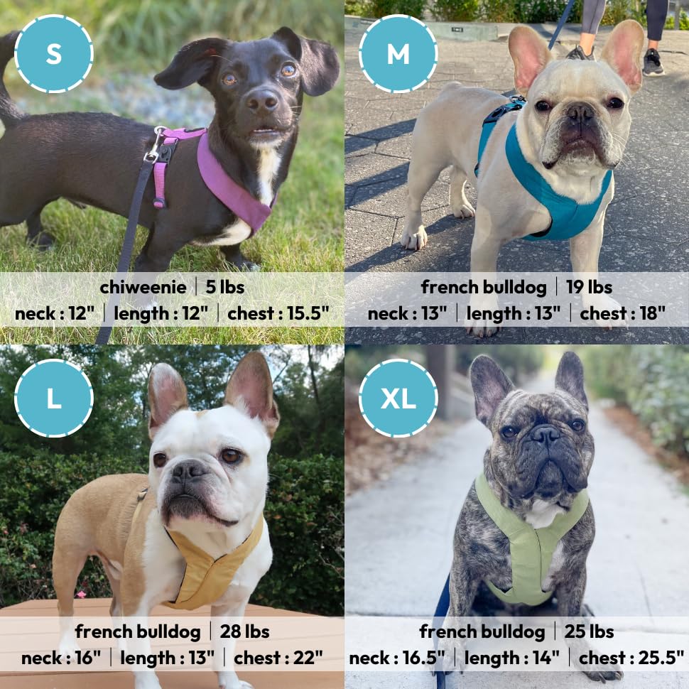 Gooby Comfort X Harness - No Pull Dog Harness with Rotational Buckles, Small (13.5-16.75") - Turquoise, Model 04205-TQS-S