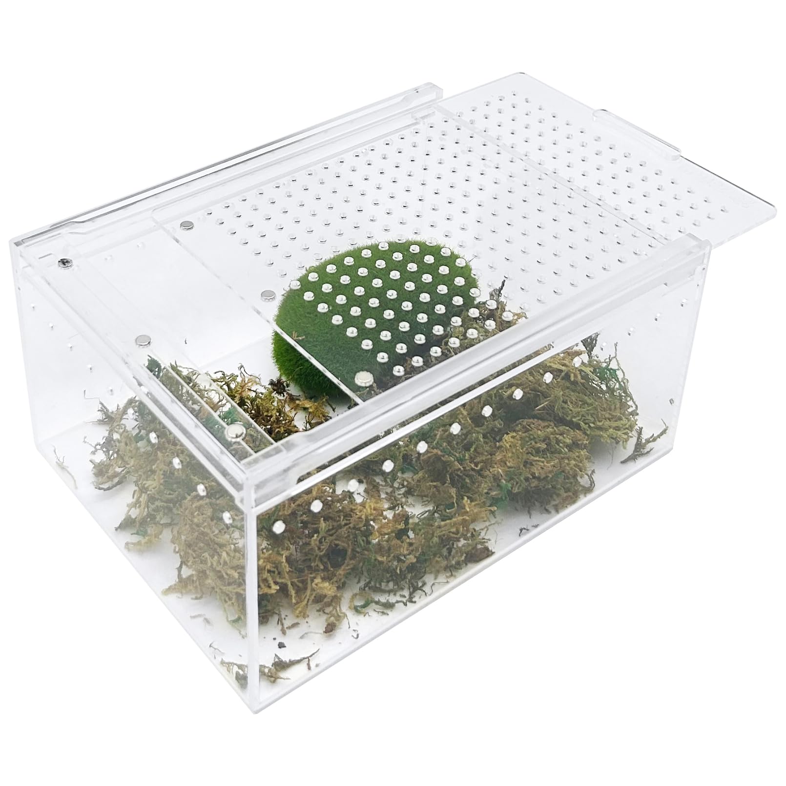 Apatal Reptile Terrarium Enclosure 8X6X4 Acrylic Tarantula Breeding Box Magnetic Hermit Crab Habitat Tank Transparent Jump