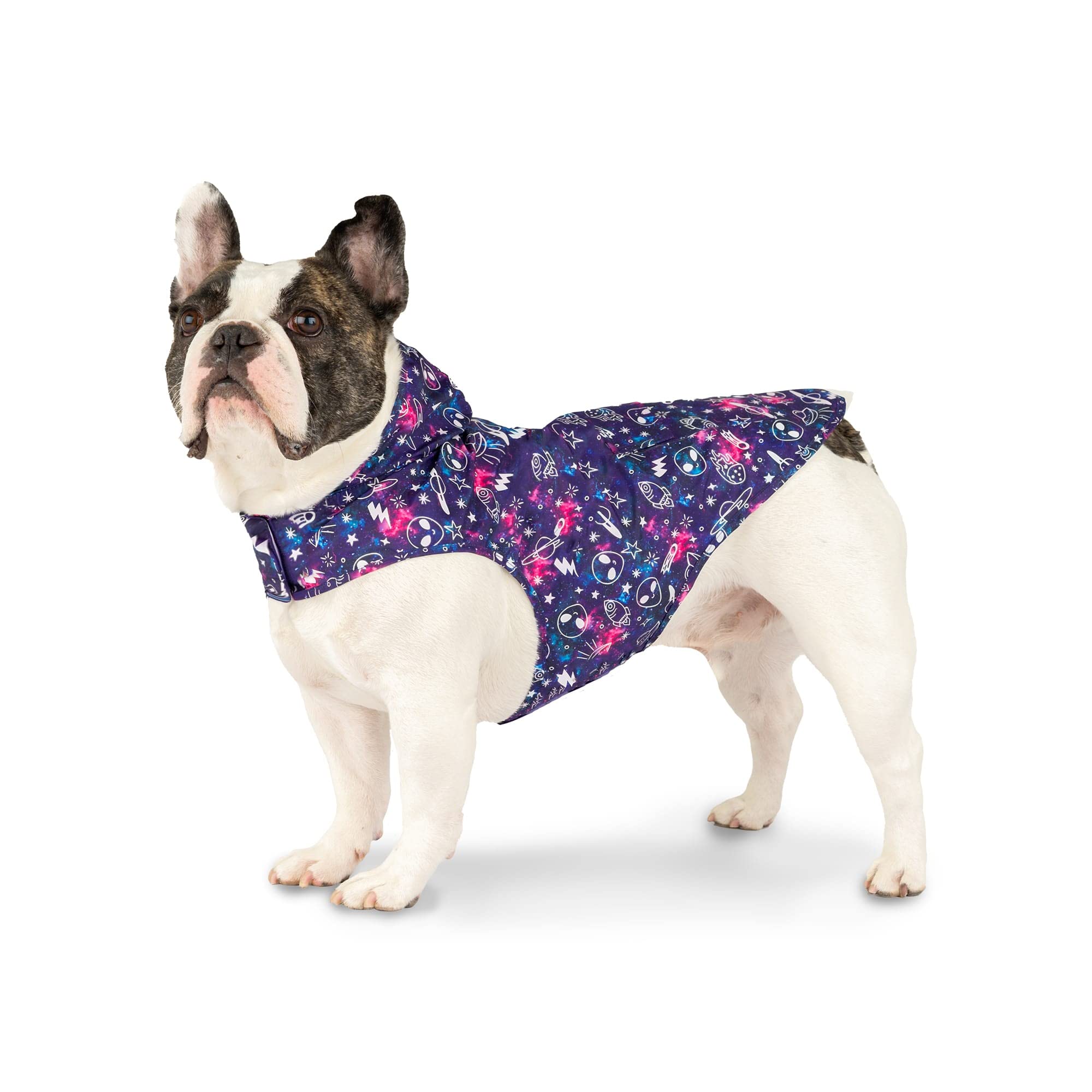 Canada Pooch Glow in The Dark Pick Me Dog Poncho, 3X-Small