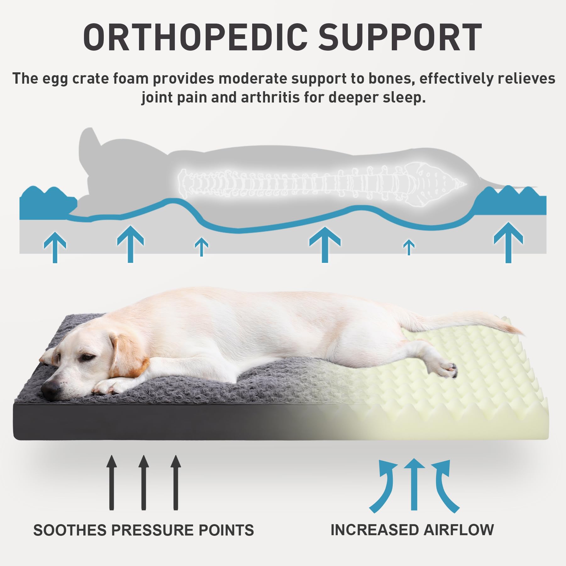 Dog Crate Bed Waterproof Dog Beds For Medium Dogs Rose Velvet Soft Fluffy Washable Dog Bed With Removable Cover & Anti-Slip Bott