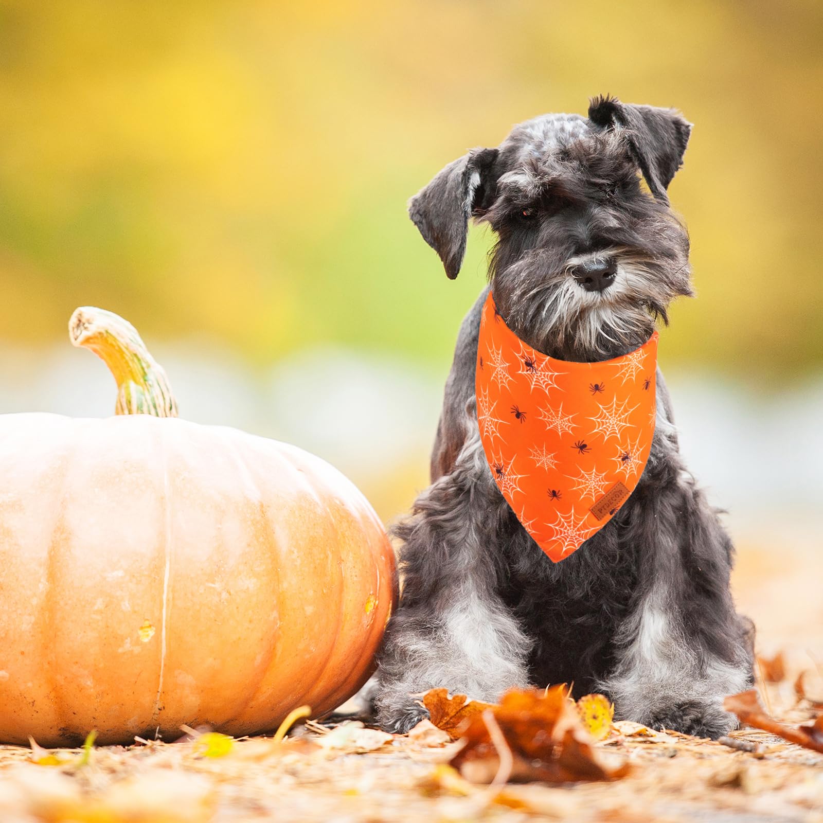 Ptdecor Halloween Dog Bandana, Reversible Holiday Pet Puppy Scarf, Multi Size, Triangle Halloween Bandanas For Small Dogs Puppie