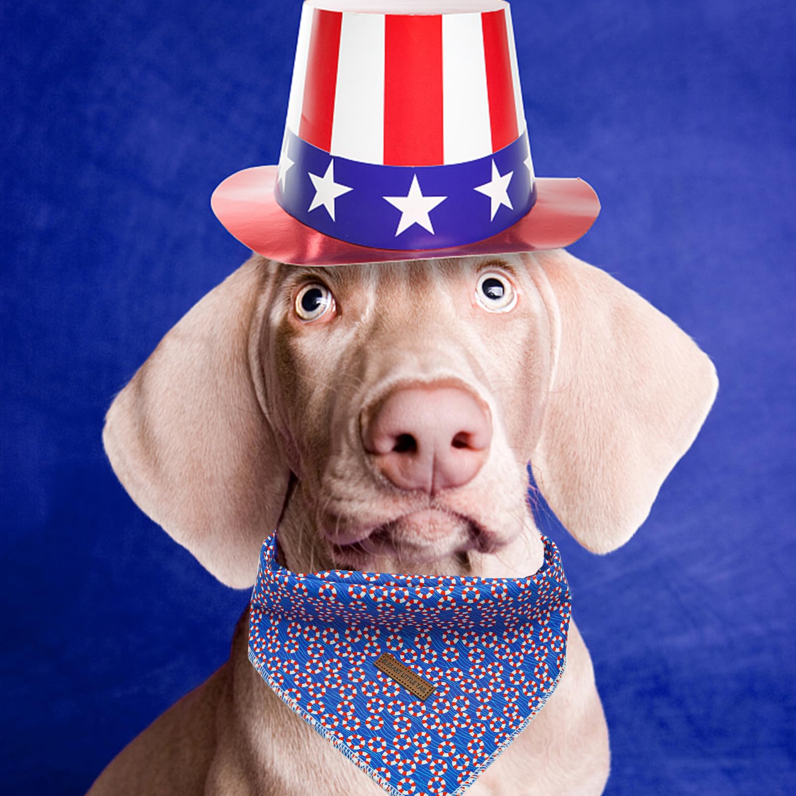 Elegant Little Tail Dog Bandana, Independence Puppy Bandana 4Th Of July Adjustable Scarf Handkerchief Boy Girl Pet Bibs Scarf Fo