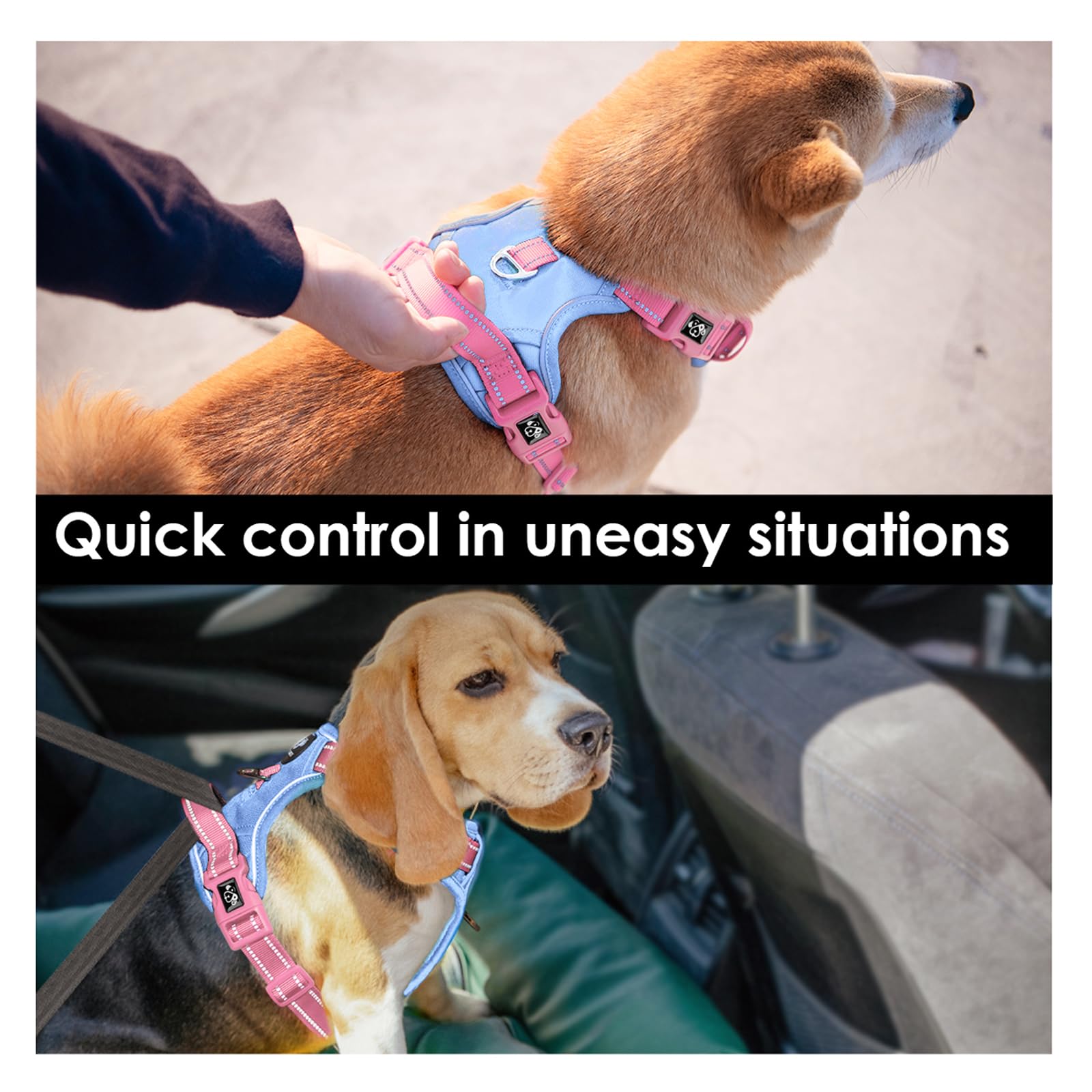 Phoepet No Pull Dog Harness, Unique Colors Reflective Adjustable Dog Vest, With Soft Training Handle Metal Clips For Small Medium Large Dogs (Baby Blue Base & Pink Straps,M)