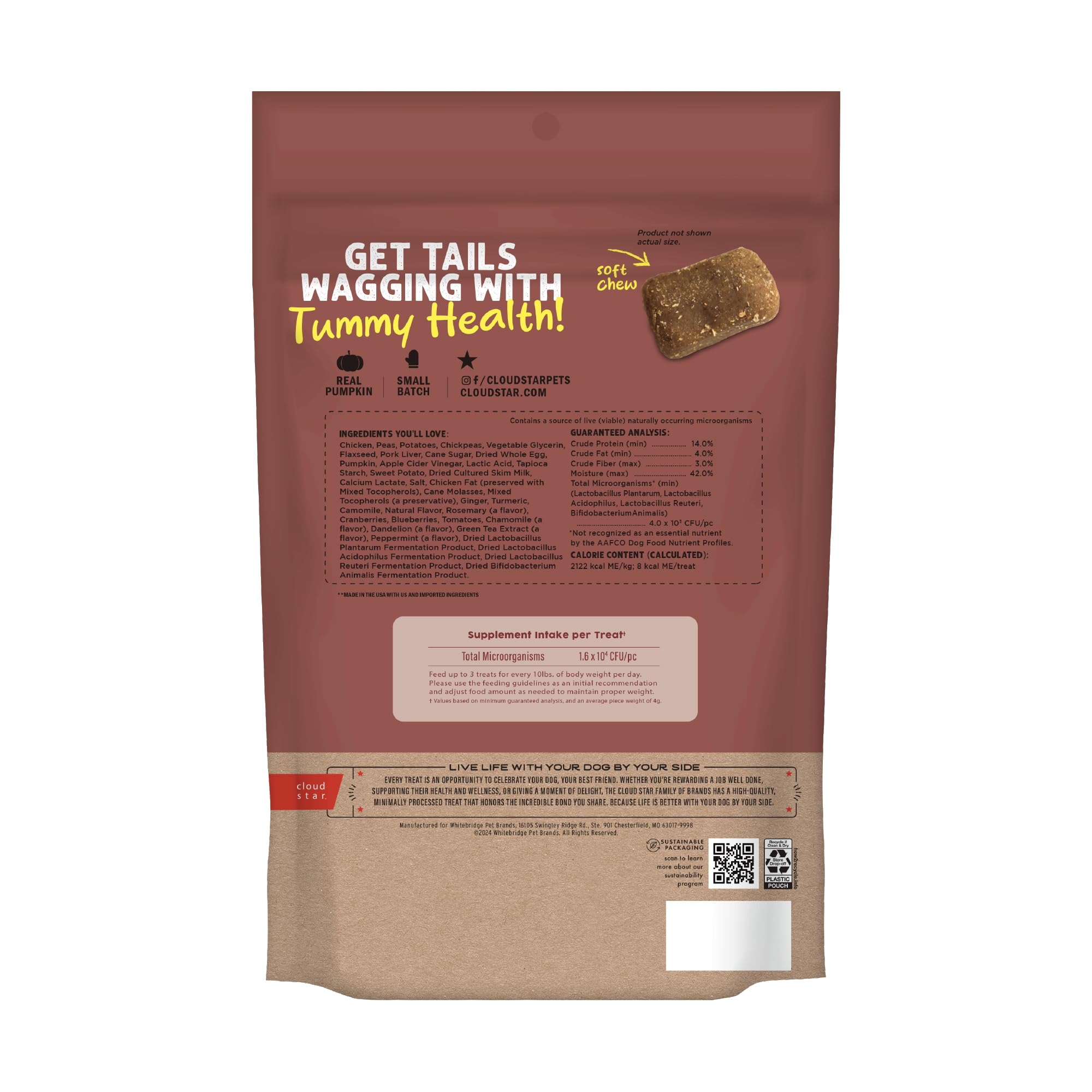 Cloud Star Dynamo Dog Tummy Treats - Soft & Chewy Probiotics Support for Dogs (14 oz. Pumpkin and Ginger) (20212)