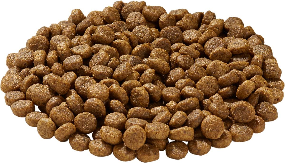 Health Extension Grain Free Duck & Sweet Potato Dry Dog Food (4 lb / 1.81 kg) - Lean Protein Formula with Turmeric & Antioxidant