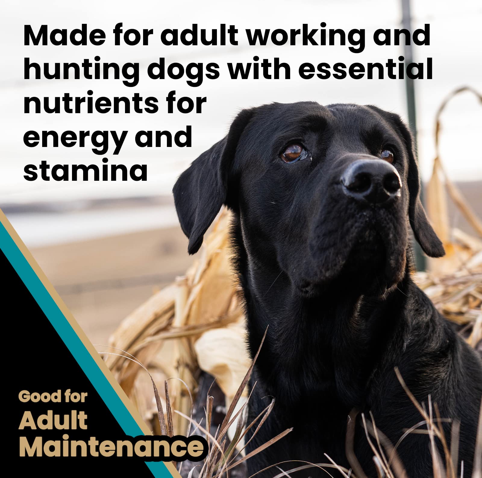 Victor Super Premium Dog Food - Realtree MAX-5 PRO Dry Dog Food - 30% Protein, Gluten Free for Active Adult Dogs, 40lb
